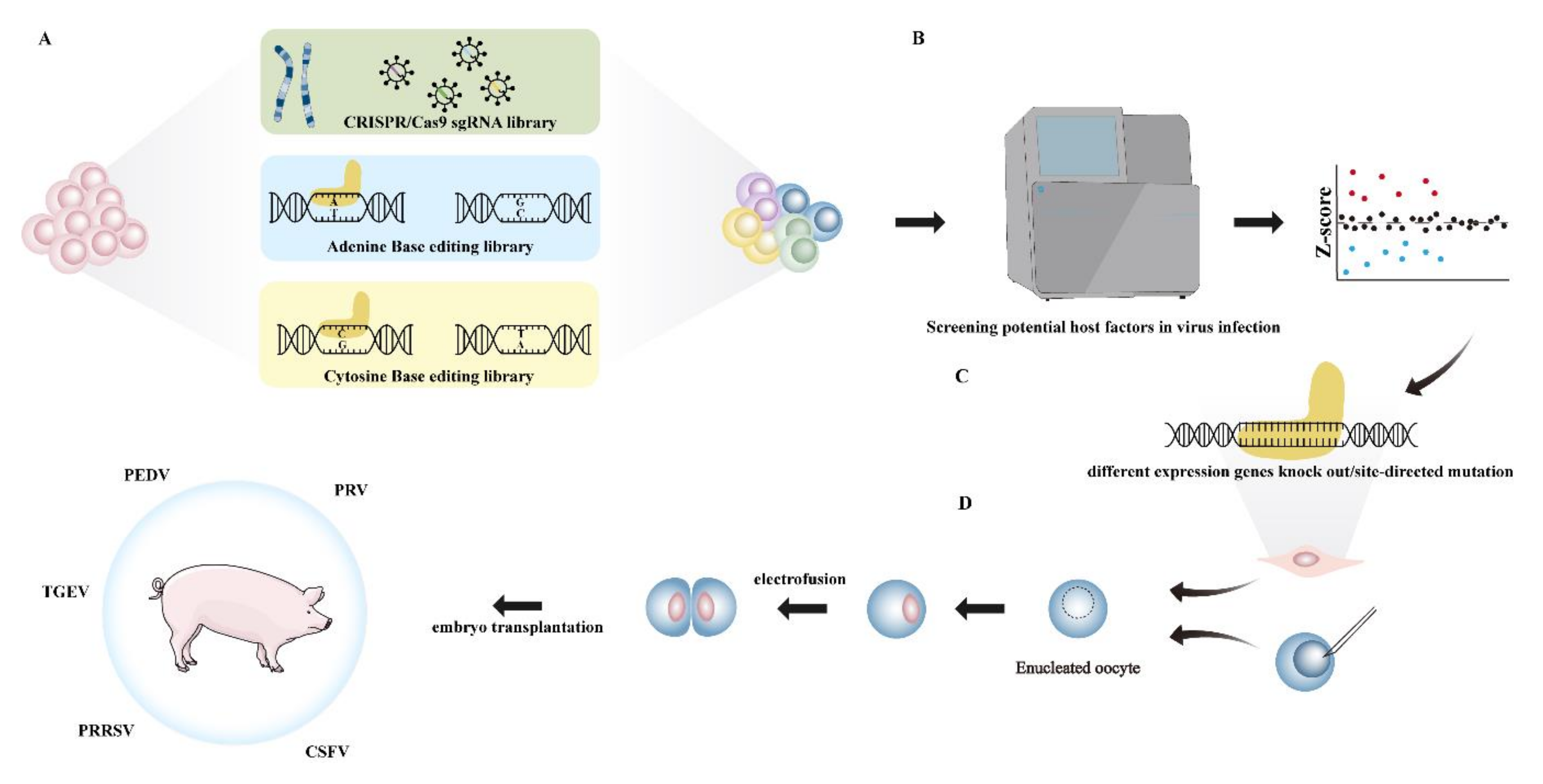 Viruses 14 00417 g001