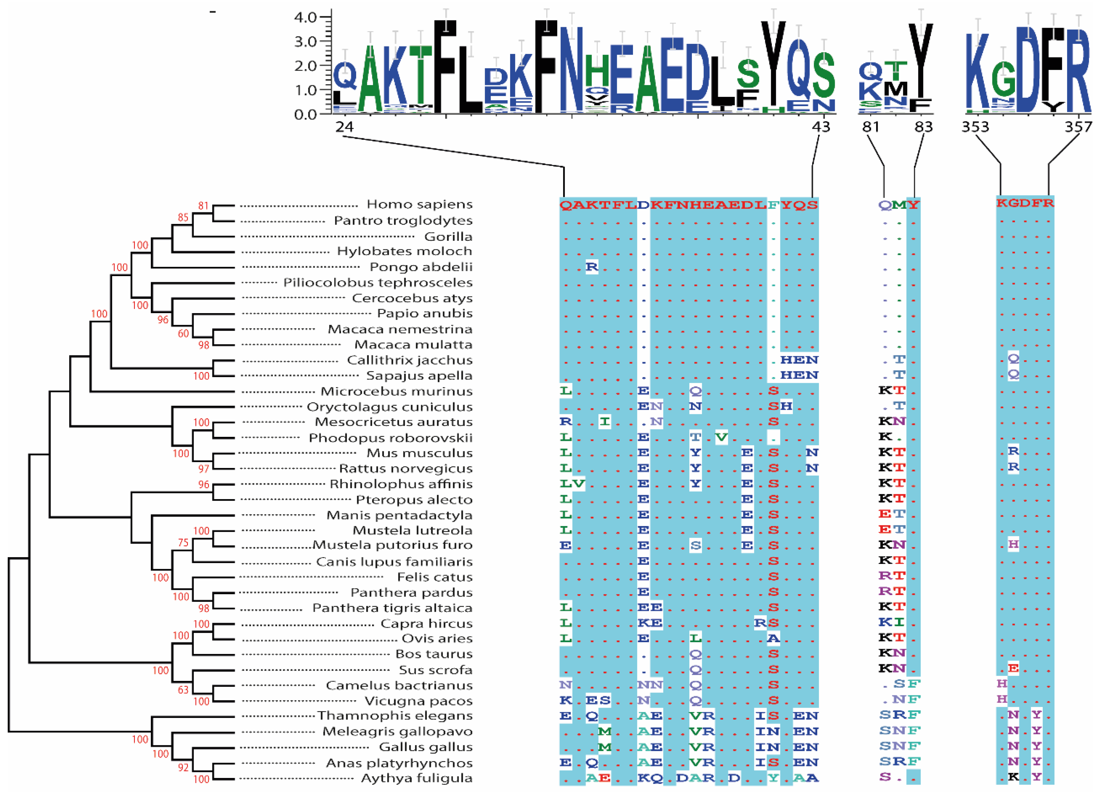 Viruses 14 00418 g001