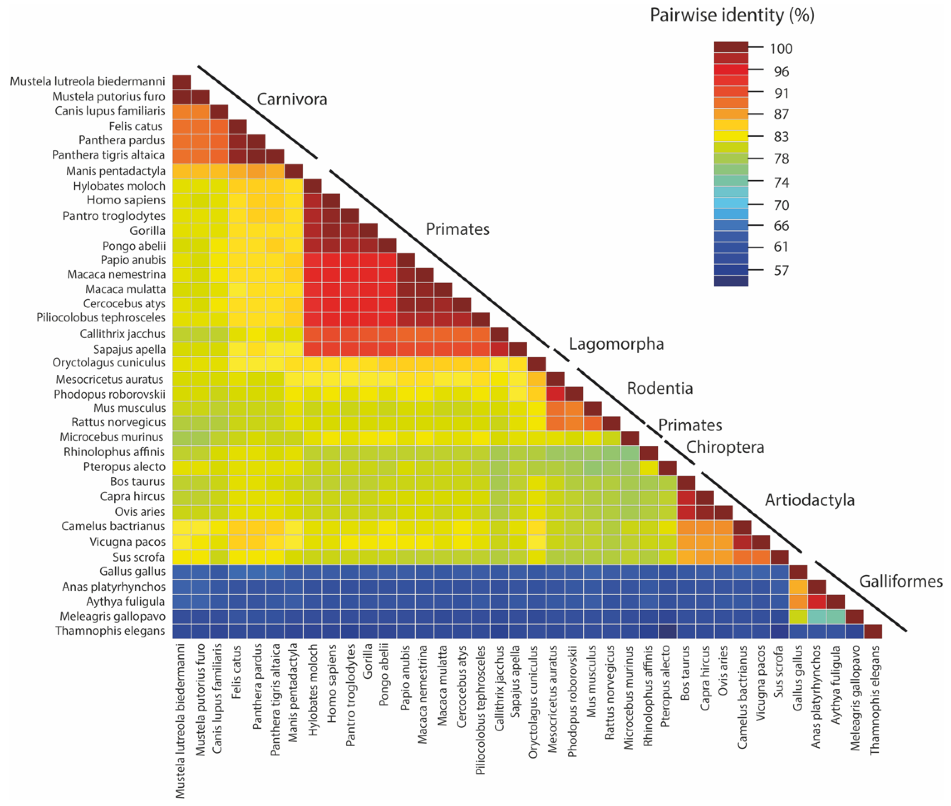 Viruses 14 00418 g002