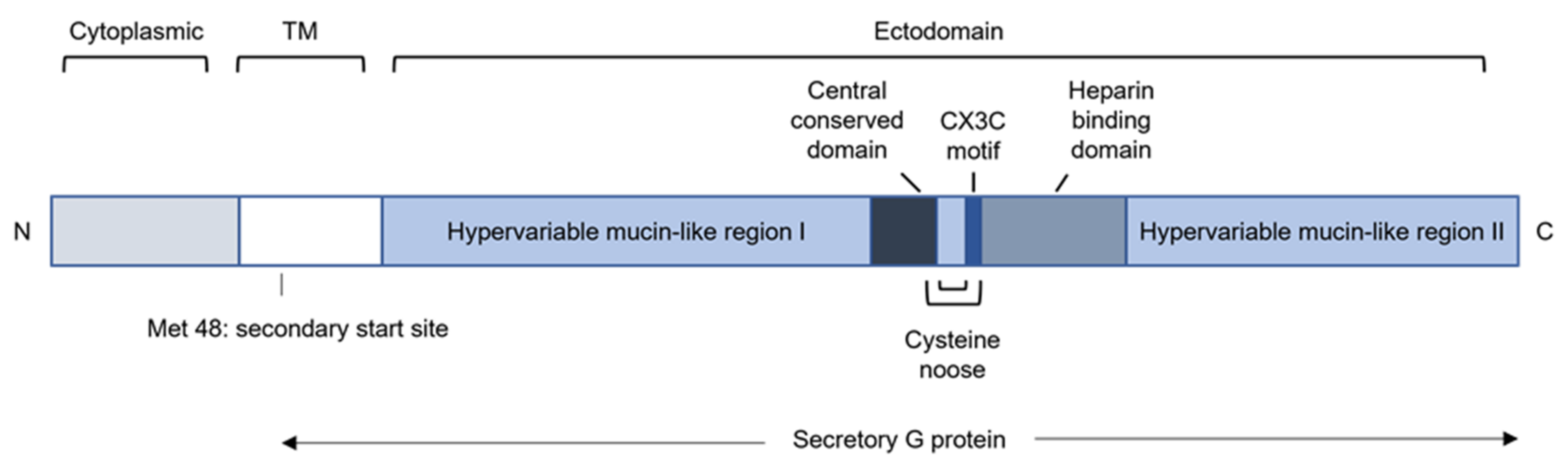 Viruses 14 00419 g007 Viruses 14 00419 g007