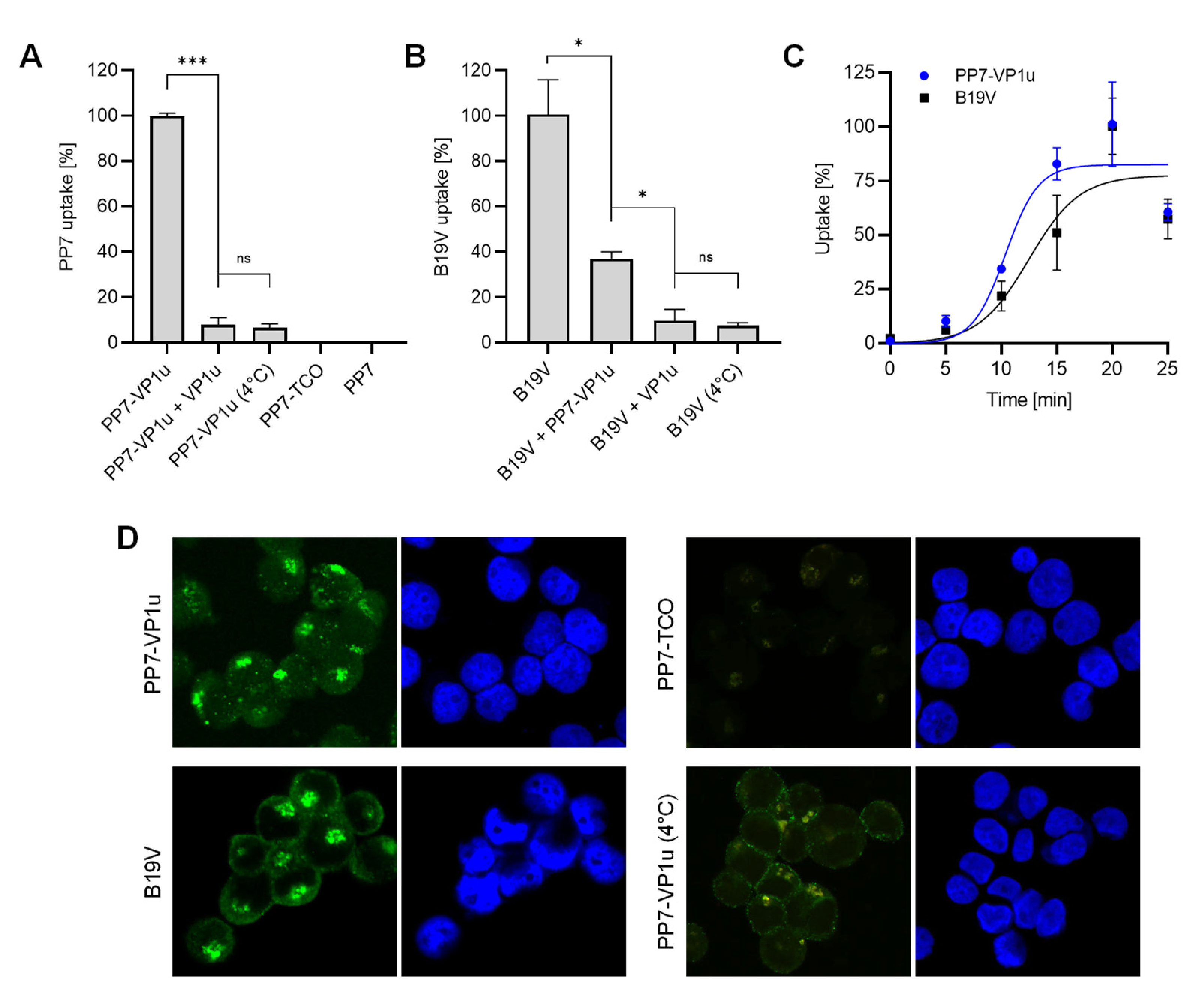 Viruses 14 00420 g002