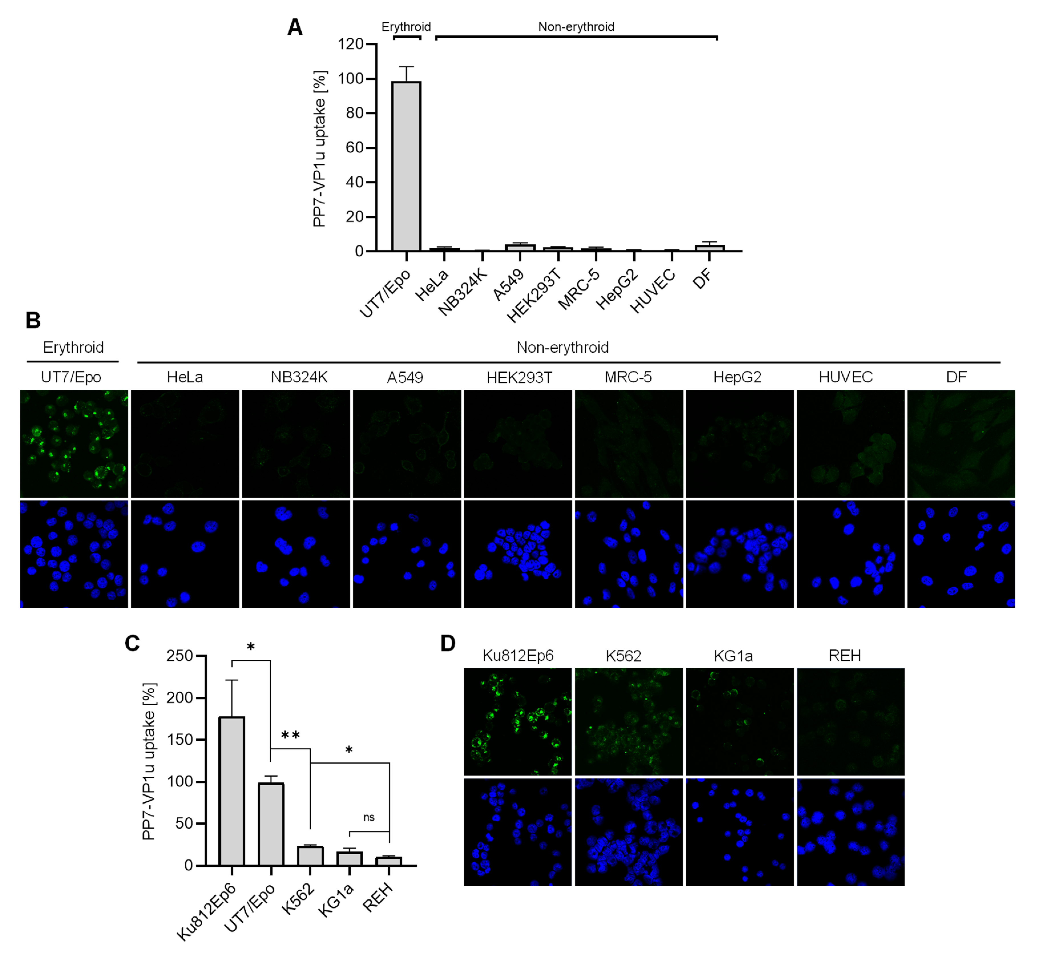 Viruses 14 00420 g003
