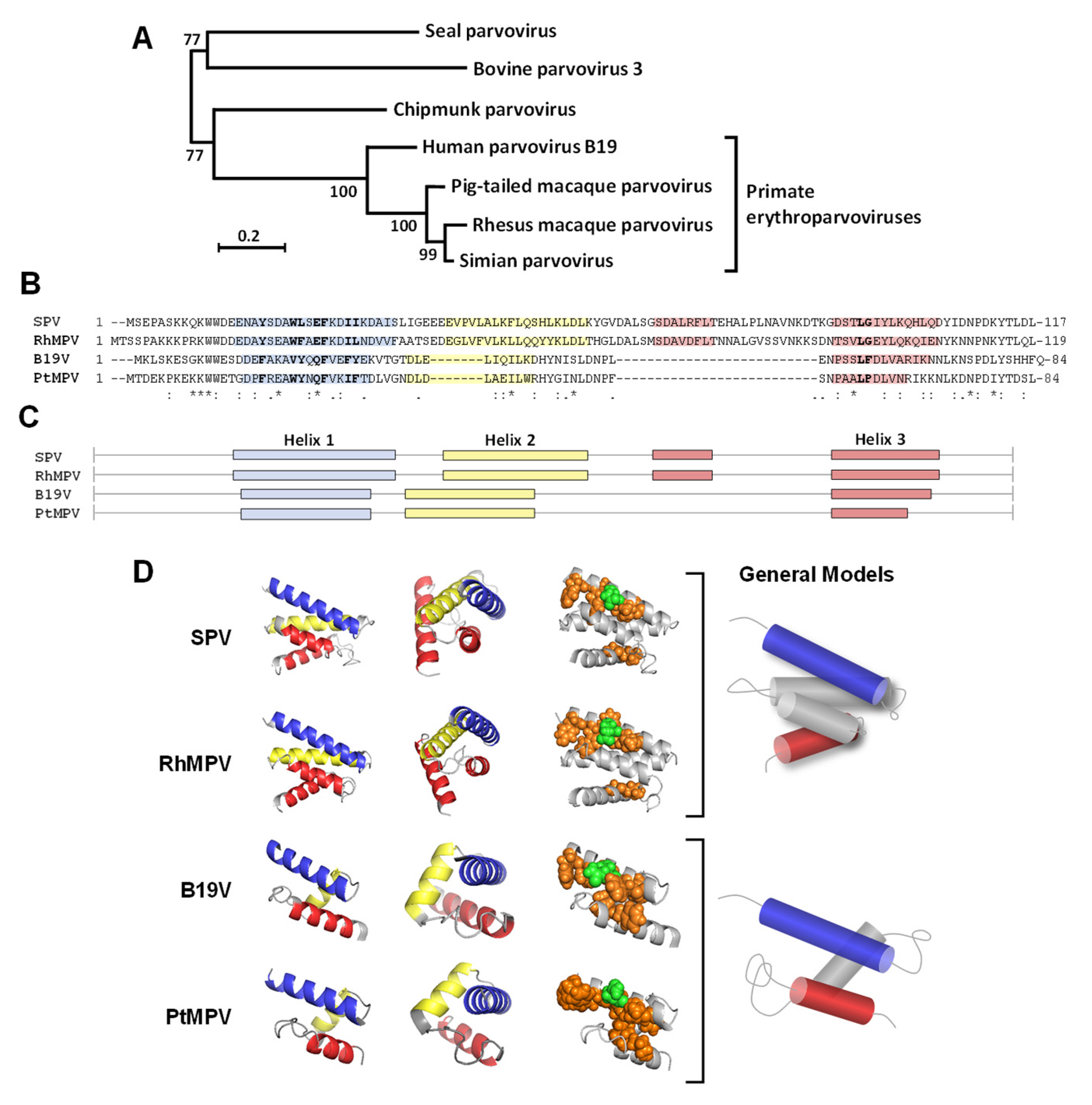 Viruses 14 00420 g005