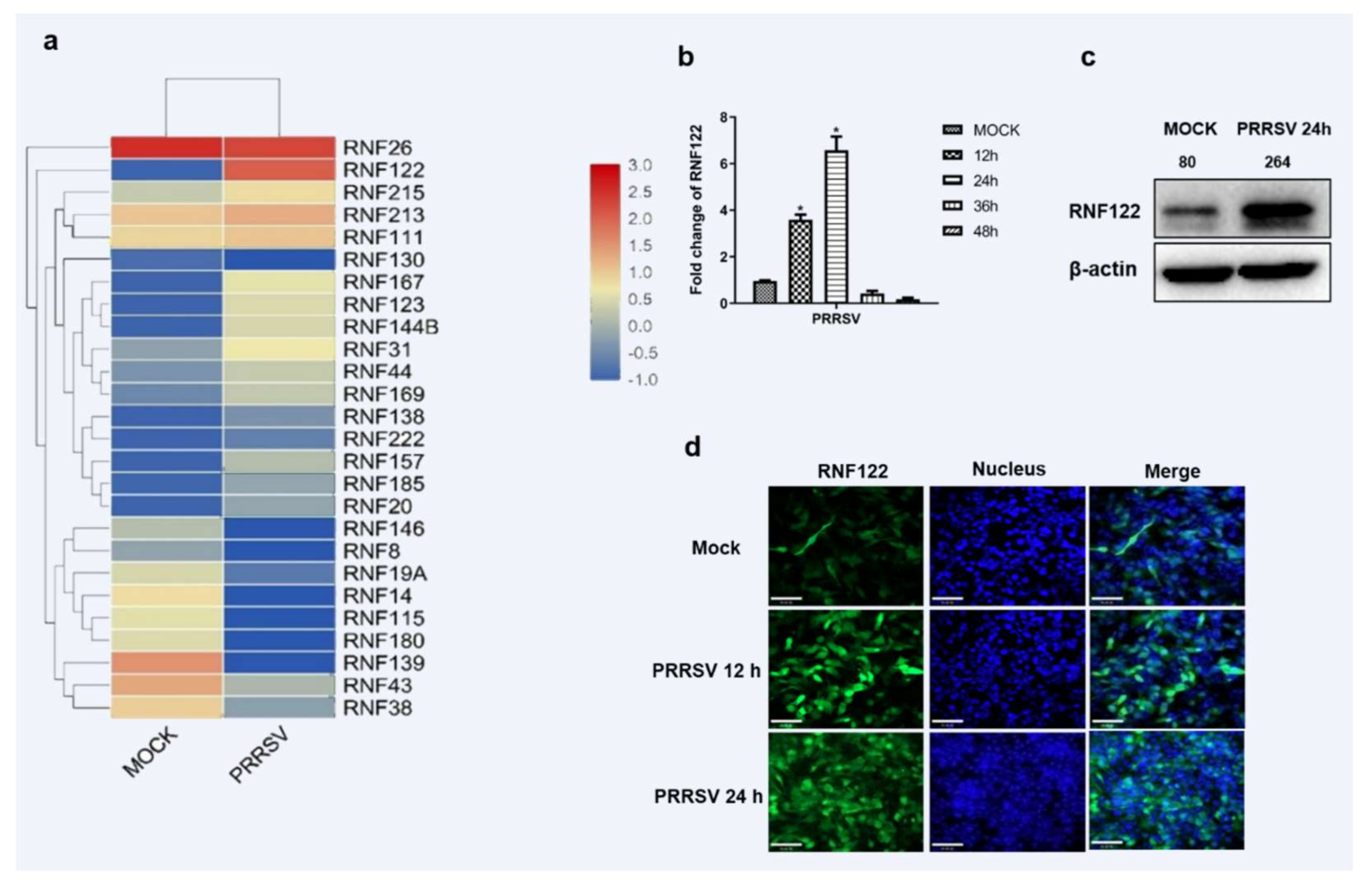 Viruses 14 00424 g001 Viruses 14 00424 g001