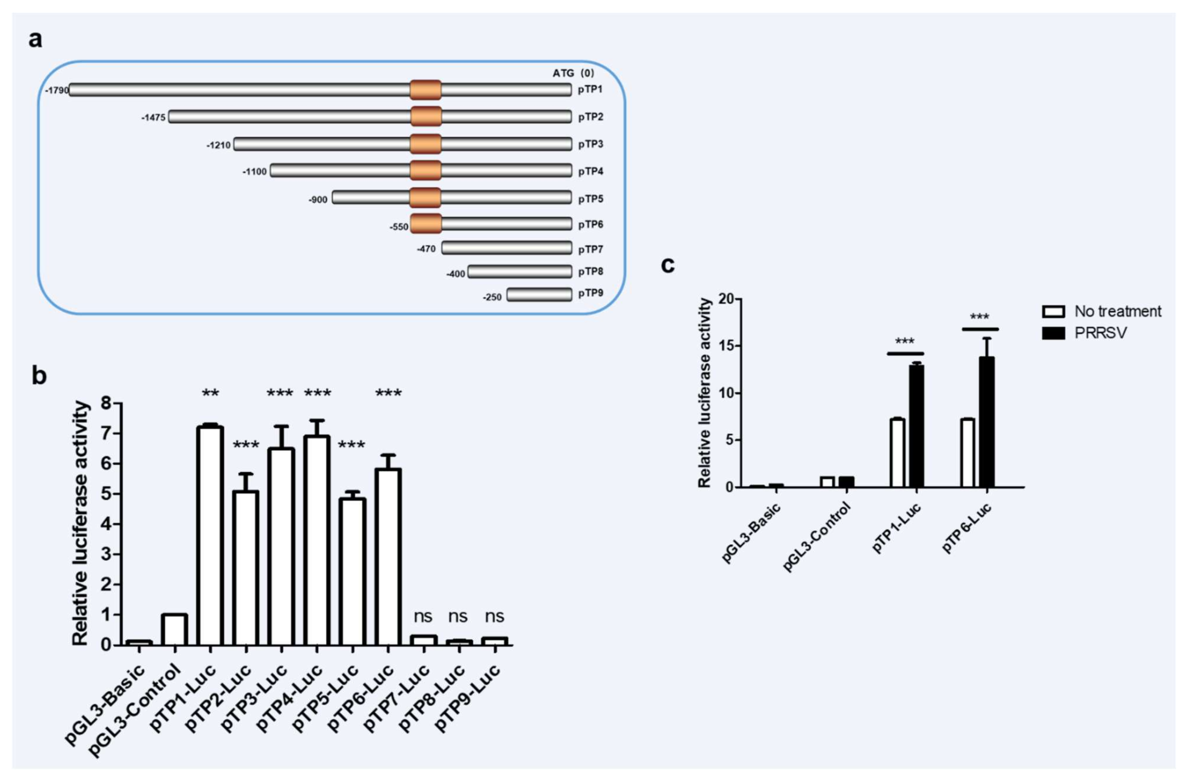 Viruses 14 00424 g002 Viruses 14 00424 g002