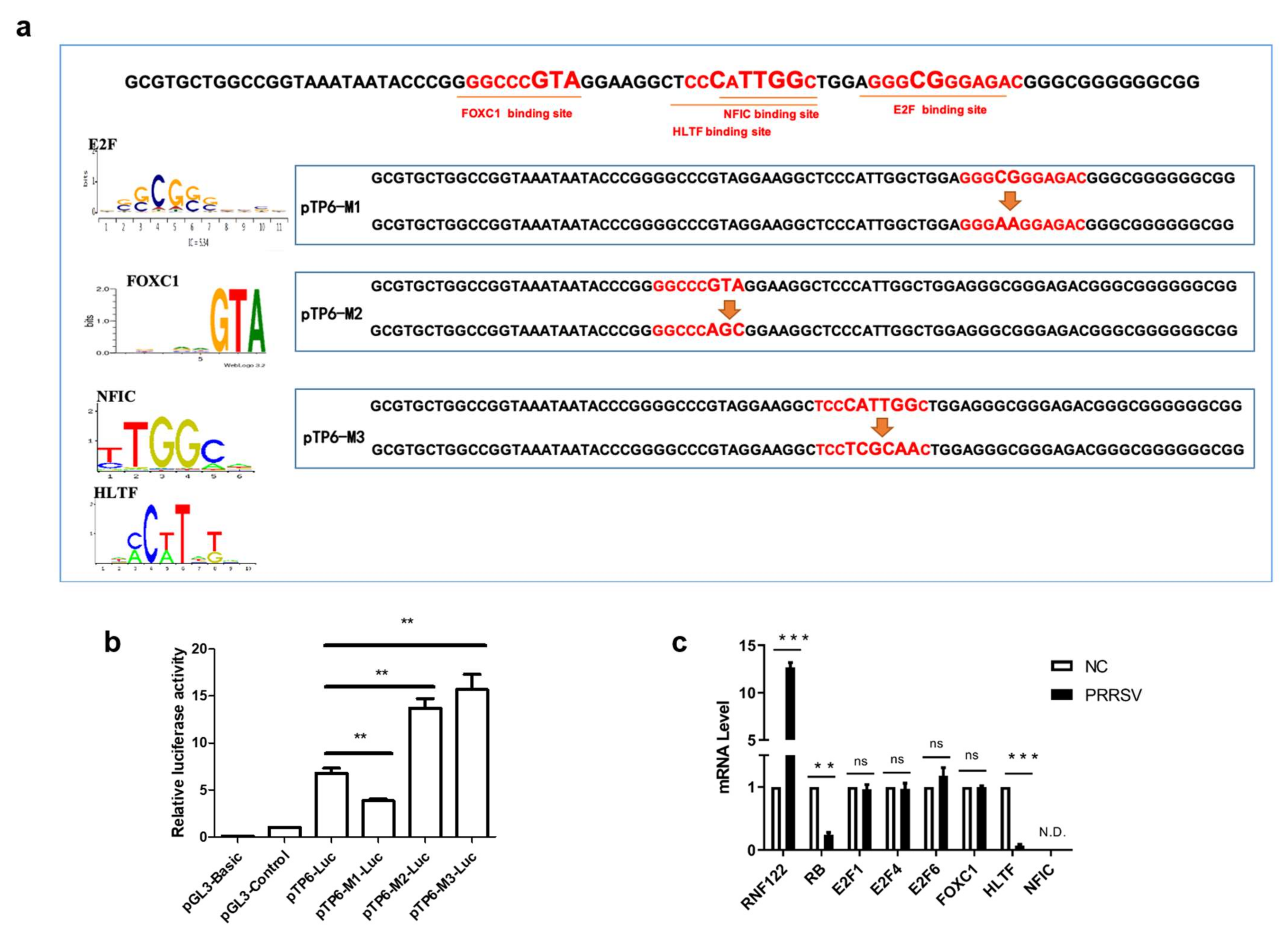 Viruses 14 00424 g003 Viruses 14 00424 g003
