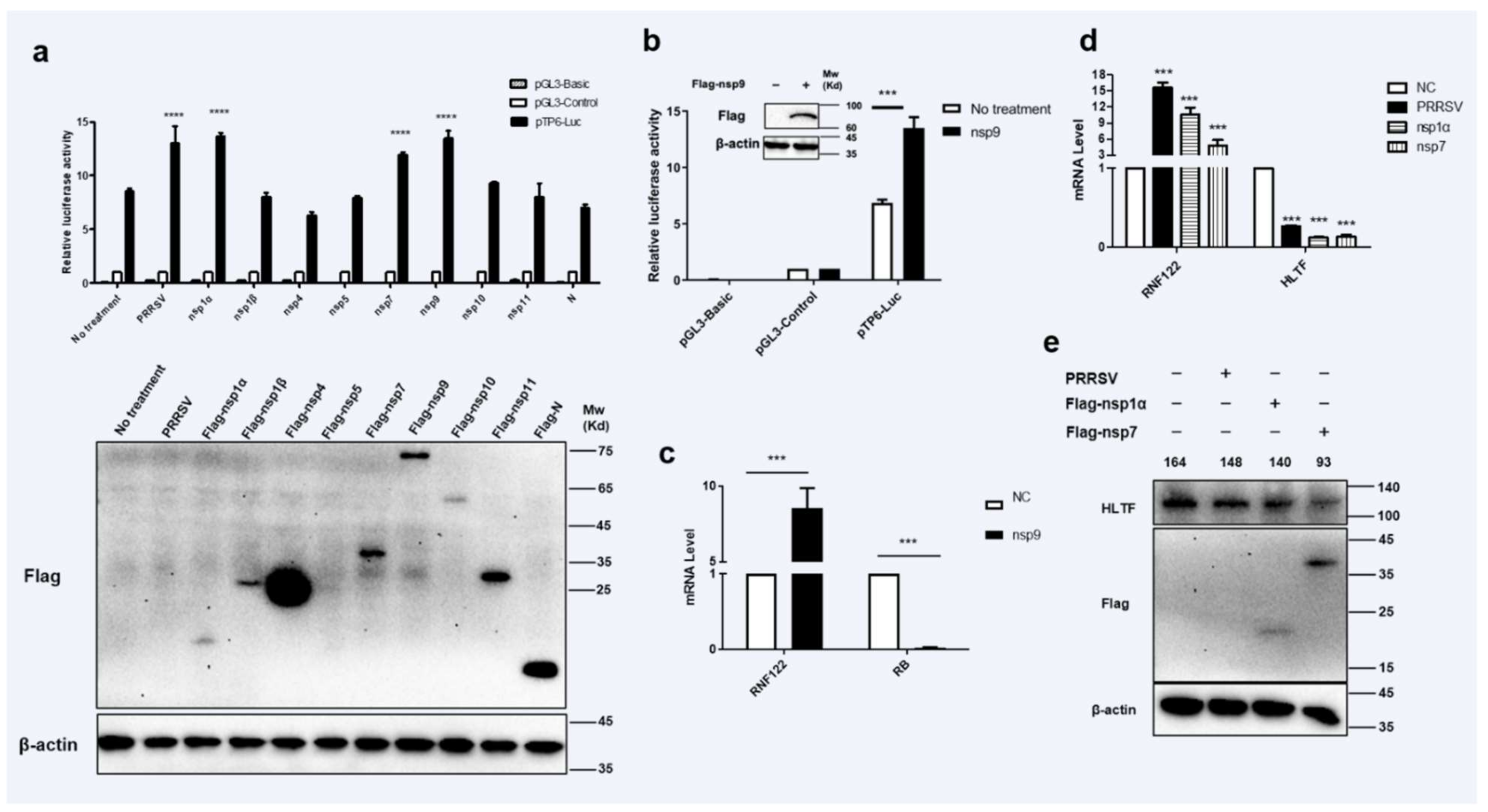 Viruses 14 00424 g004 Viruses 14 00424 g004