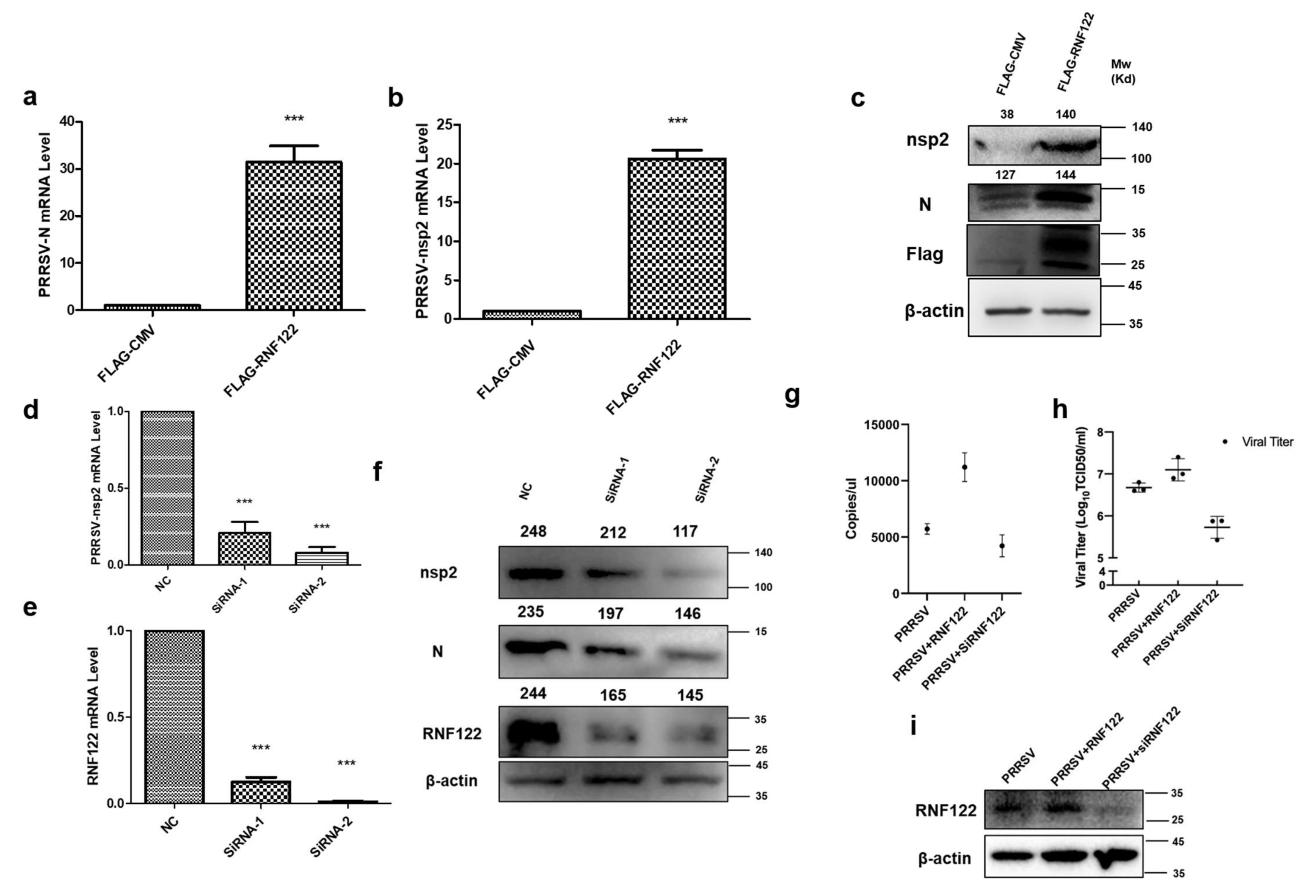 Viruses 14 00424 g005 Viruses 14 00424 g005
