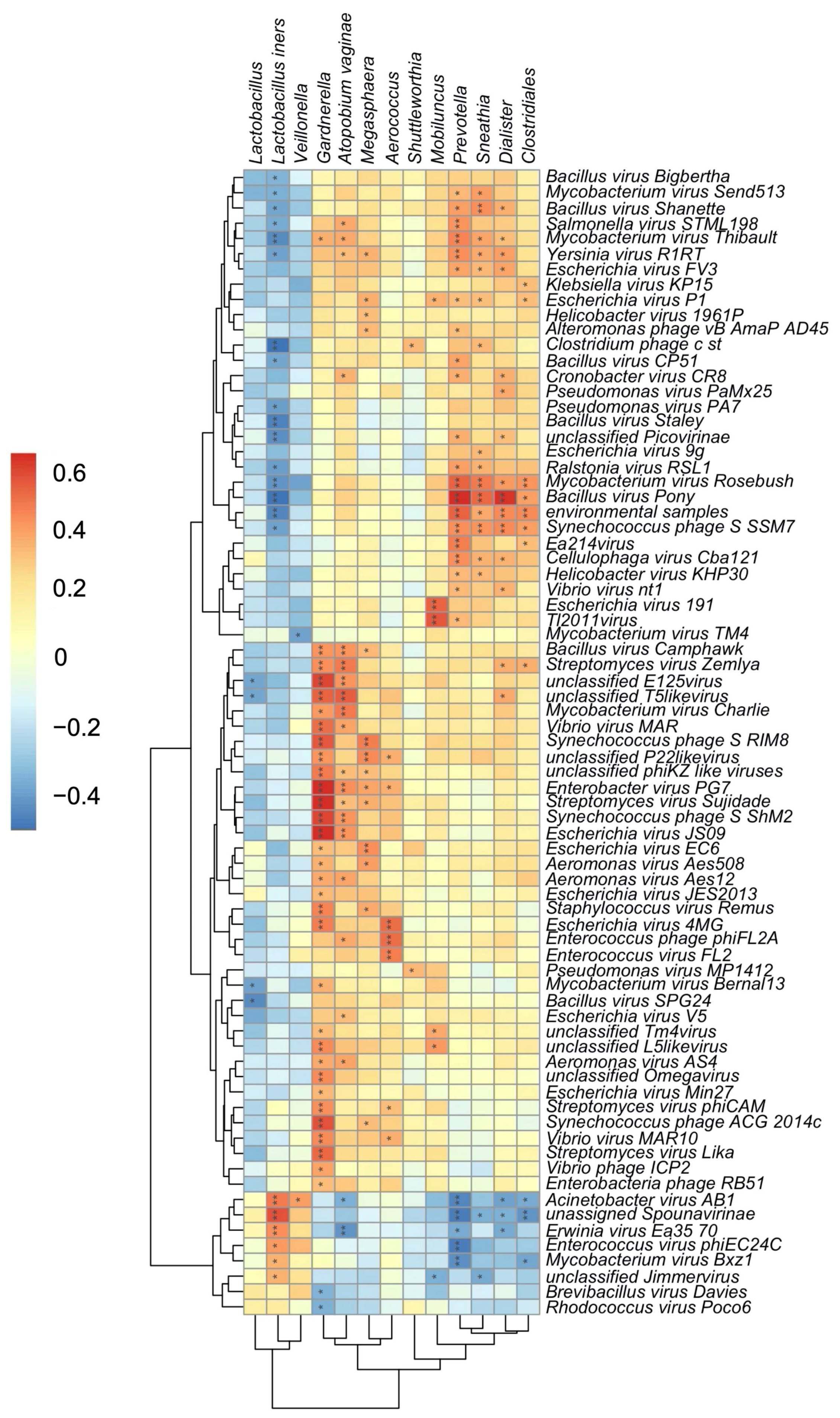 Viruses 14 00430 g004 Viruses 14 00430 g004