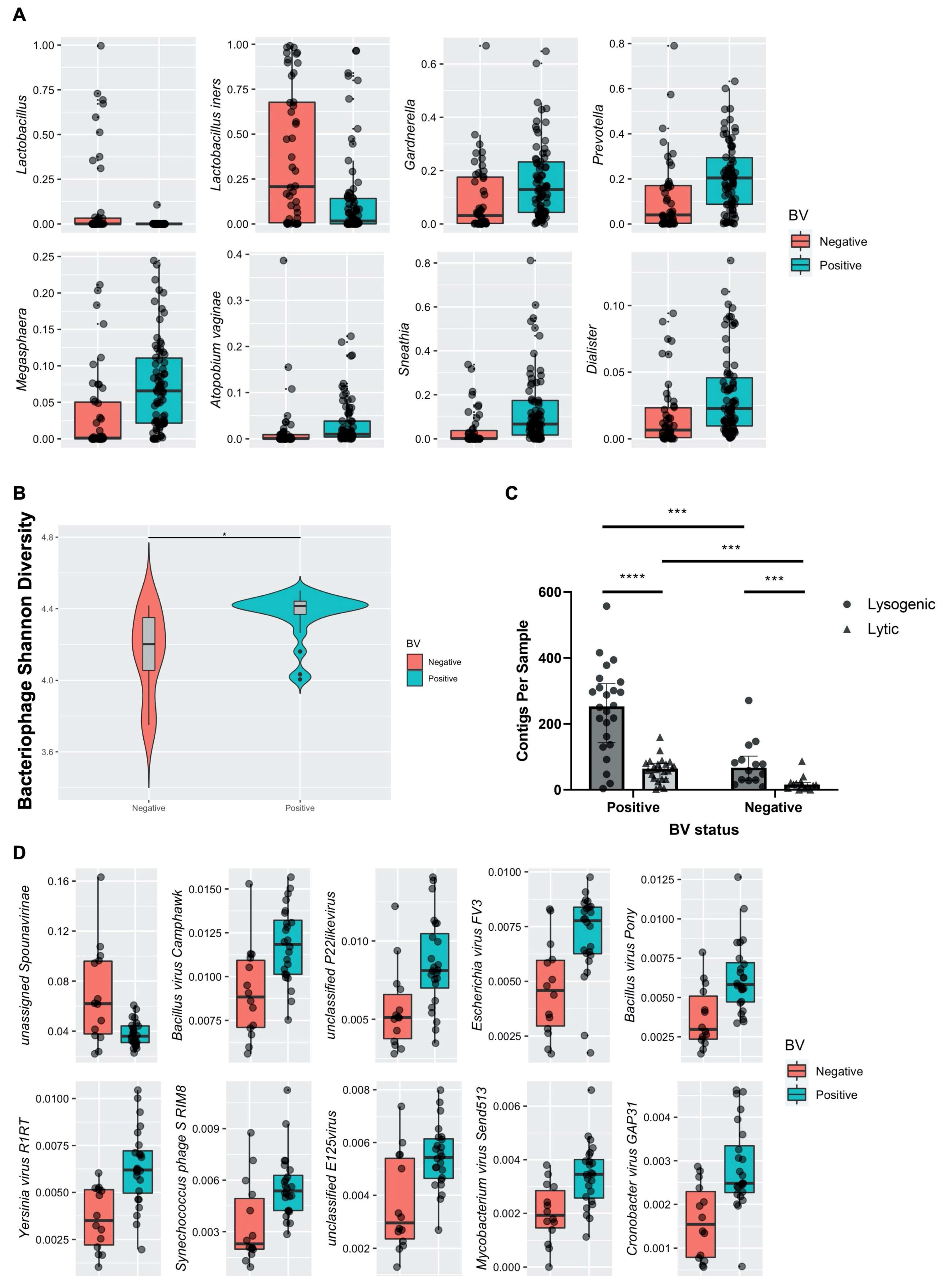 Viruses 14 00430 g005 Viruses 14 00430 g005