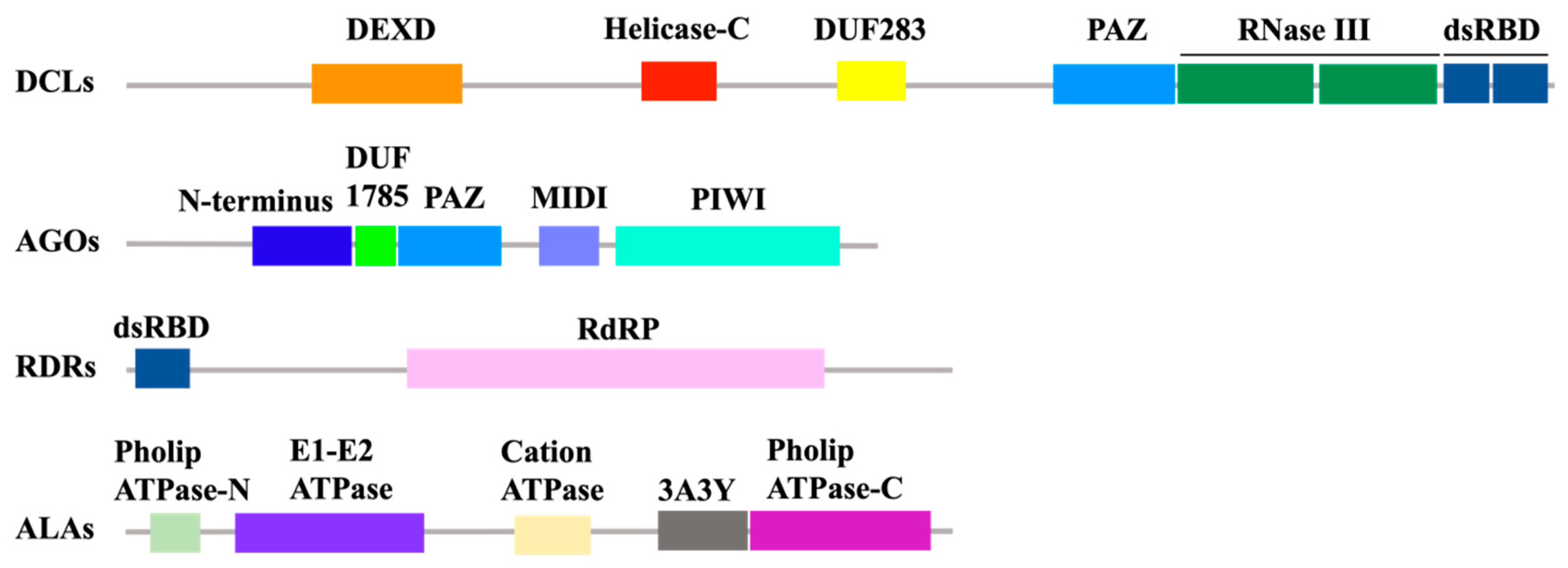 Viruses 14 00432 g002
