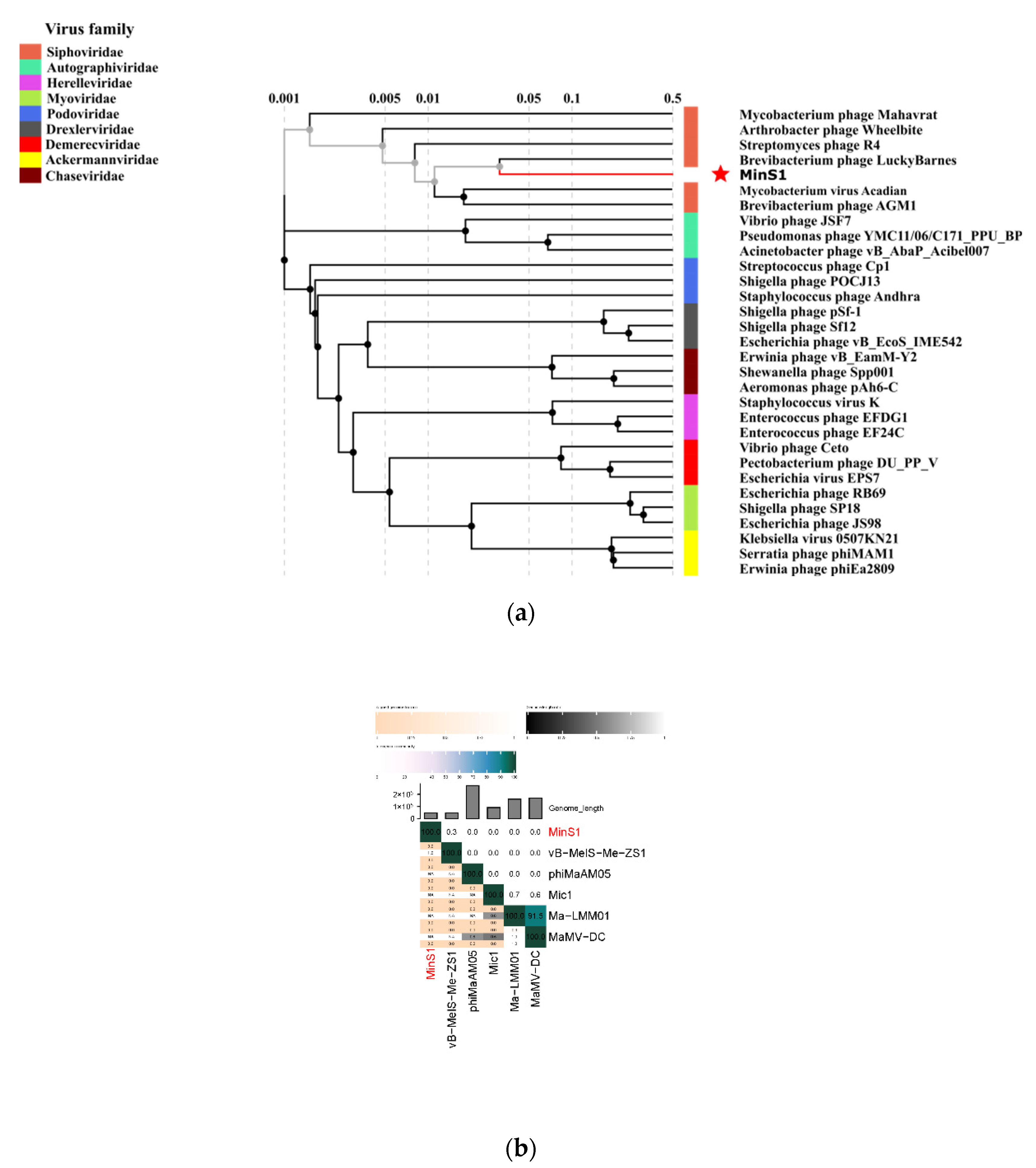 Viruses 14 00433 g005 Viruses 14 00433 g005