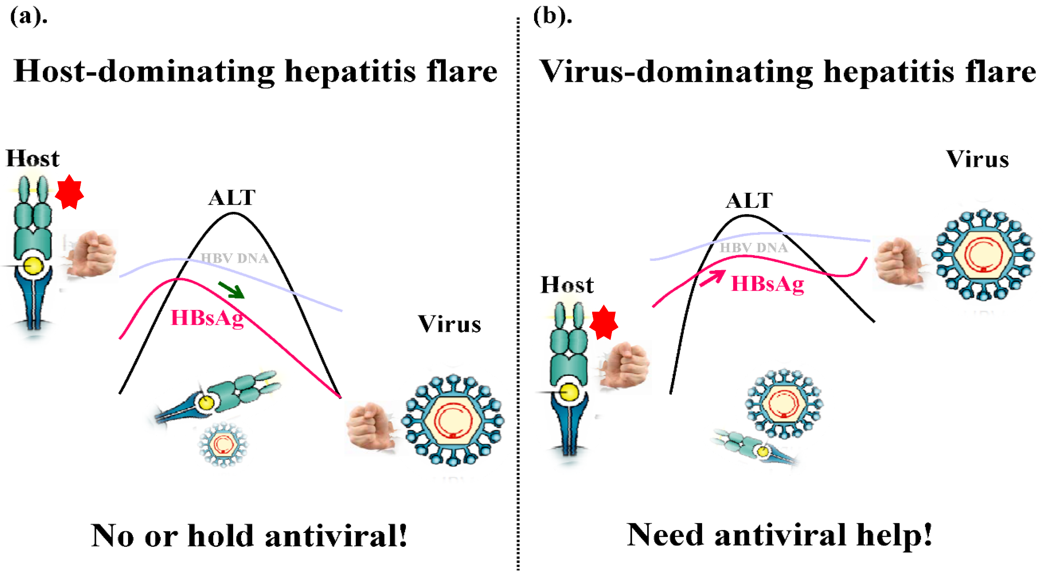 Viruses 14 00434 g001 Viruses 14 00434 g001