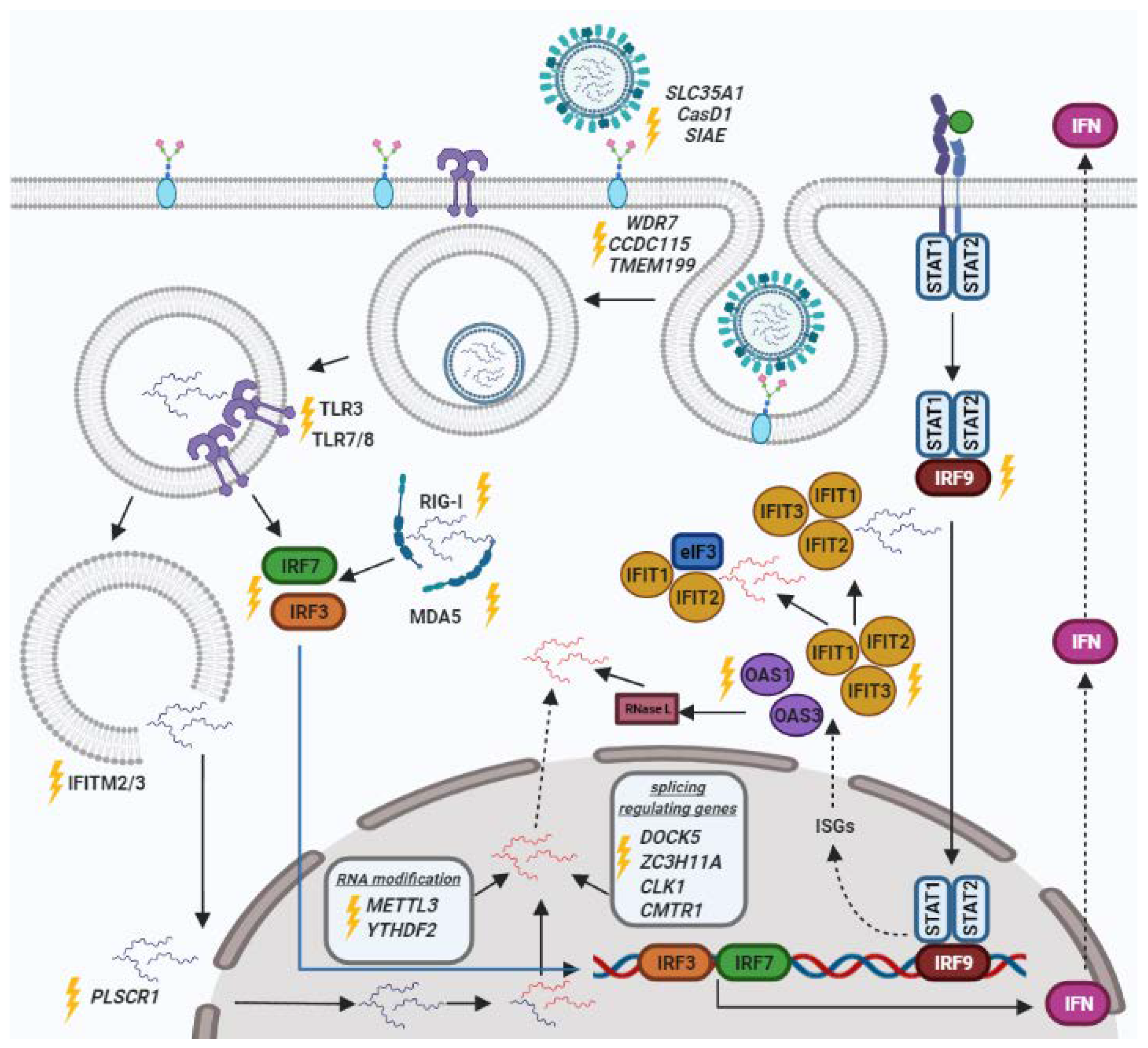Viruses 14 00437 g001 Viruses 14 00437 g001