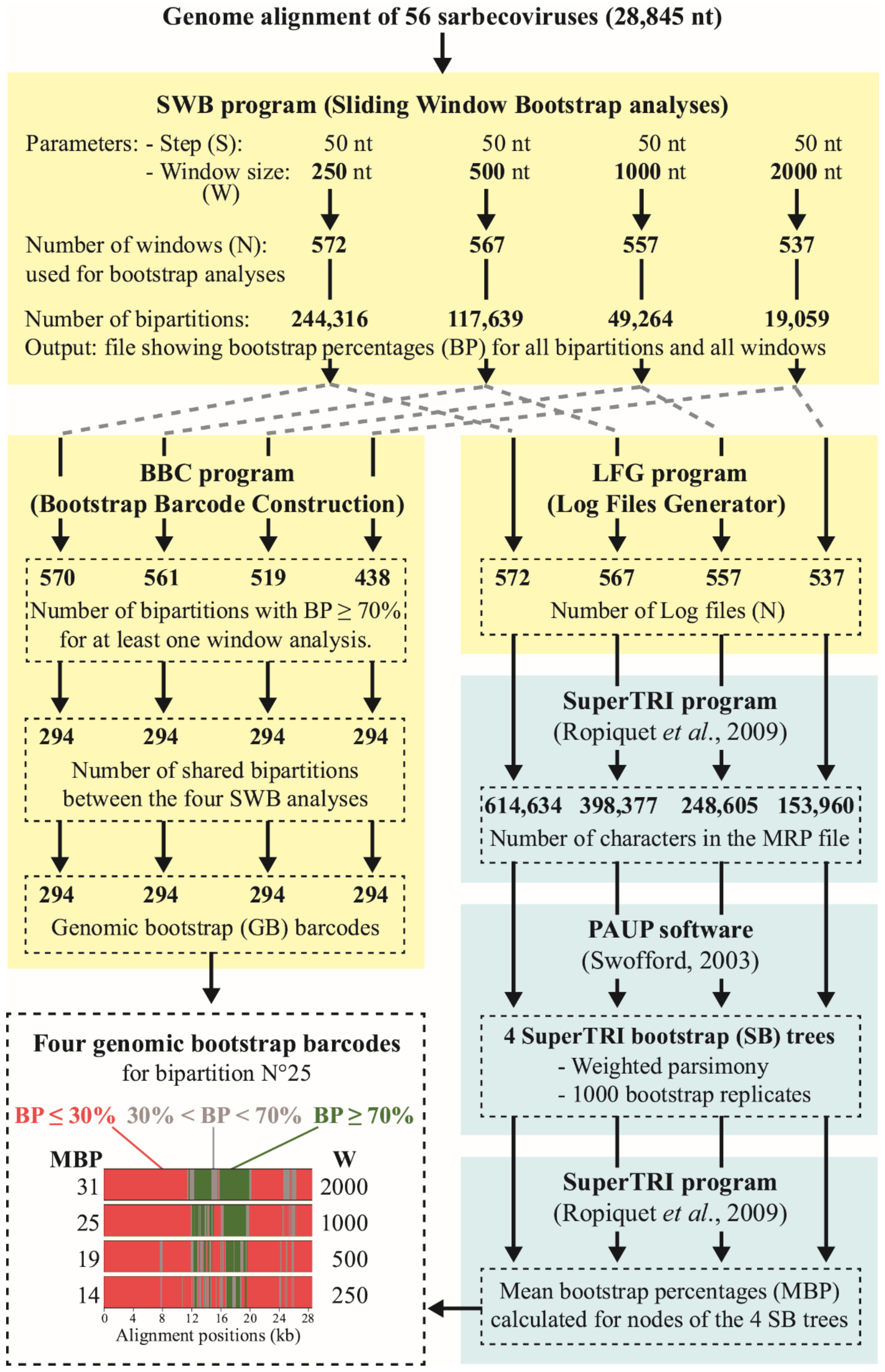 Viruses 14 00440 g001