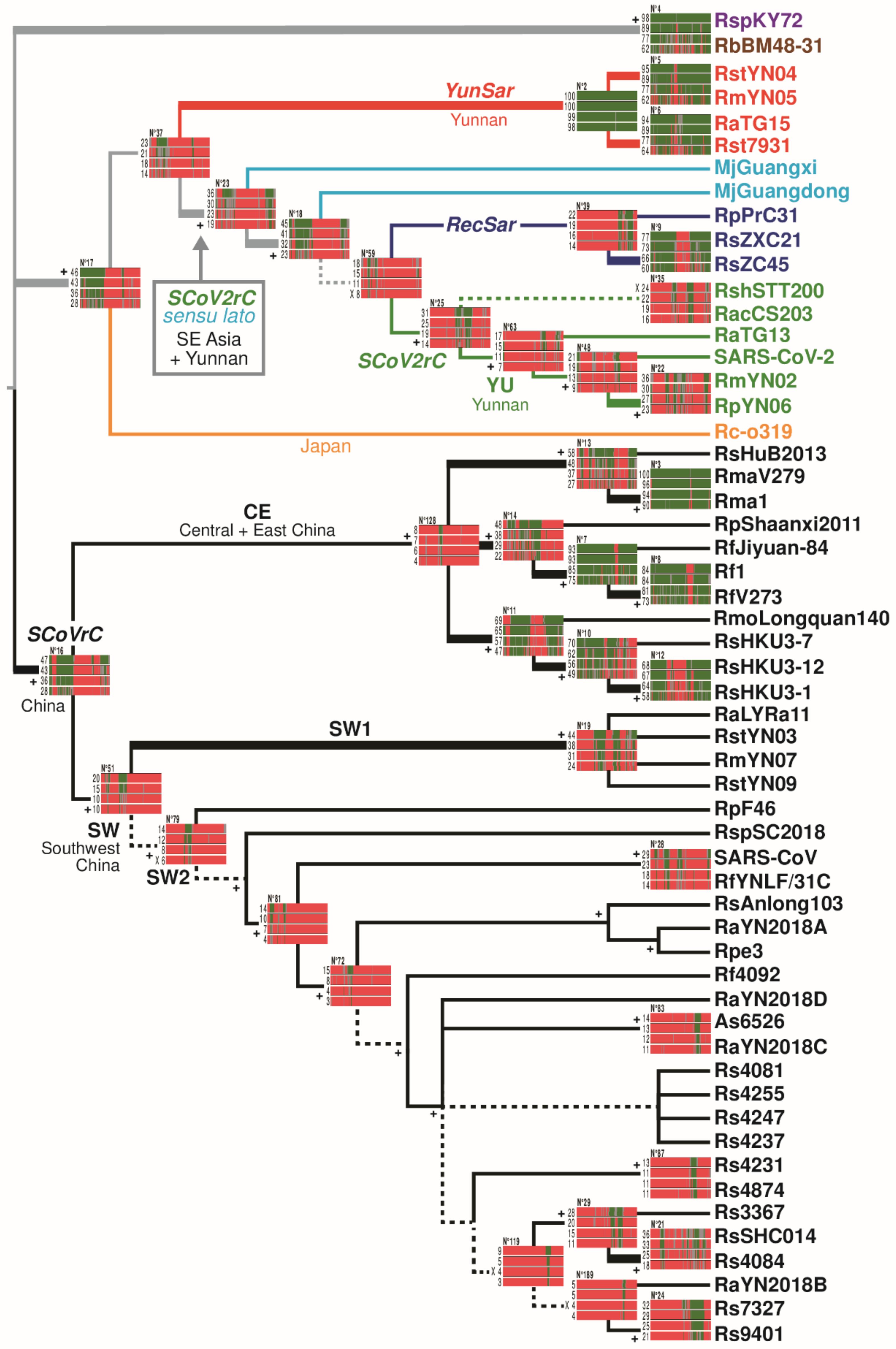 Viruses 14 00440 g003