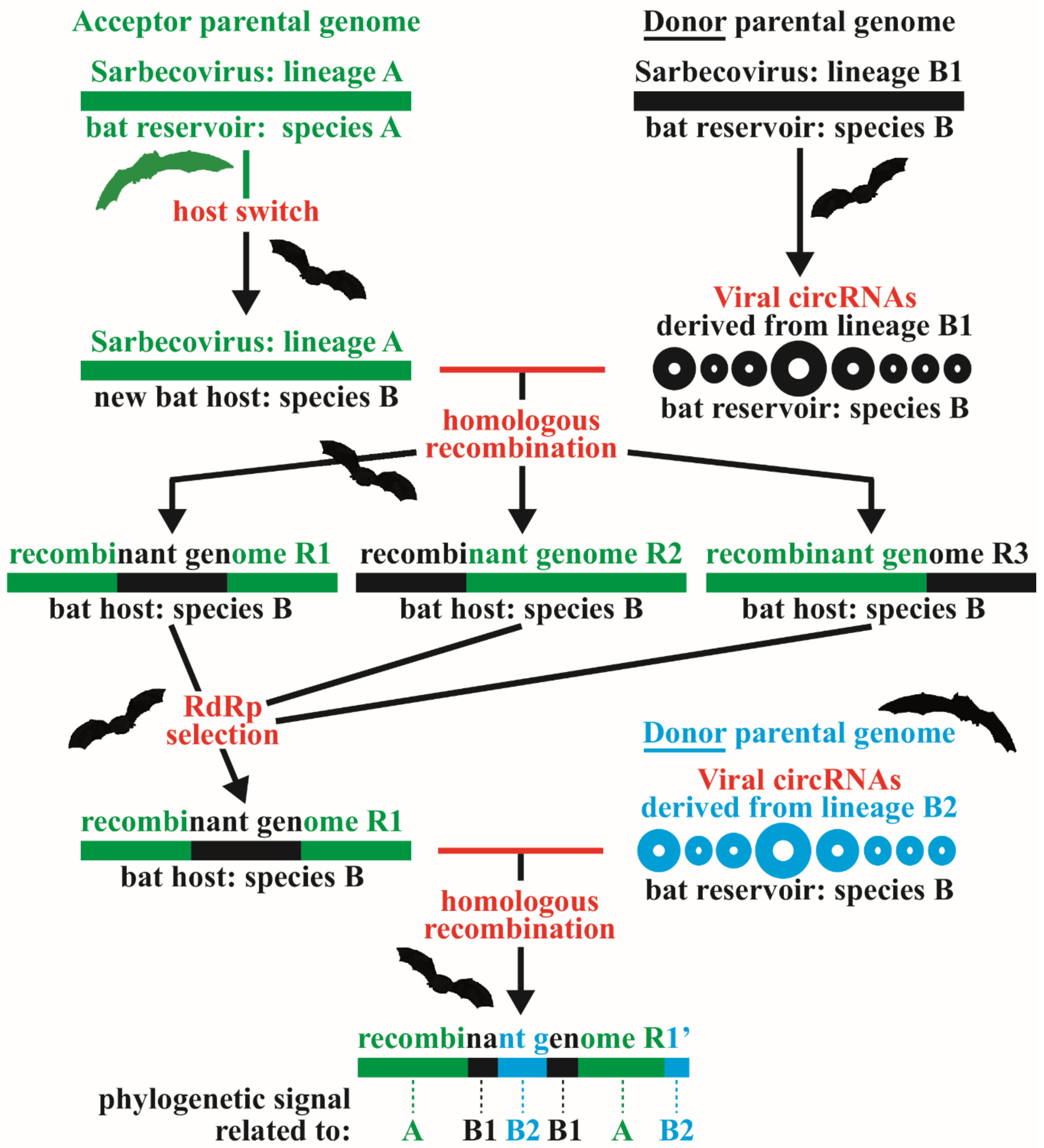 Viruses 14 00440 g008