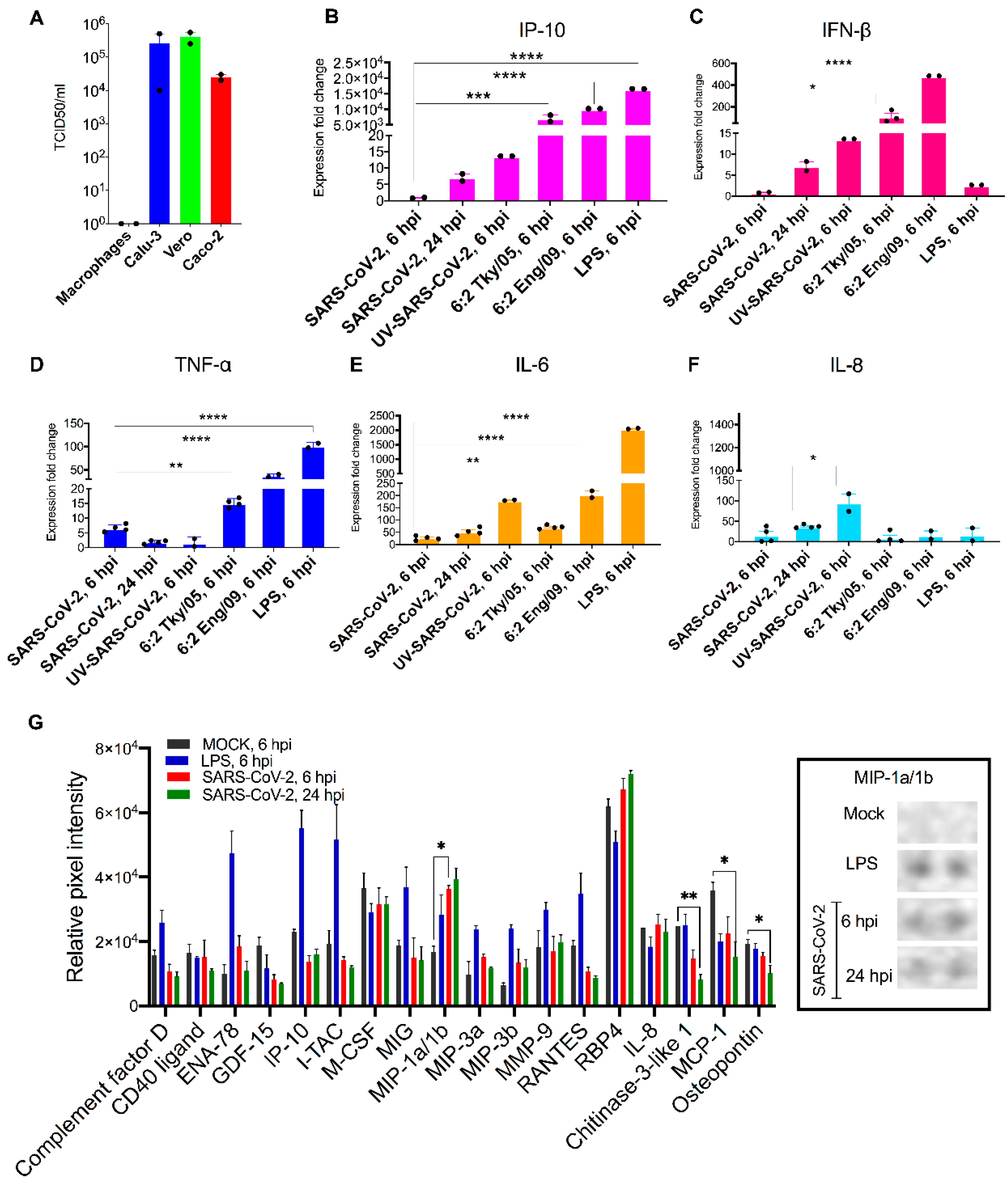 Viruses 14 00441 g001