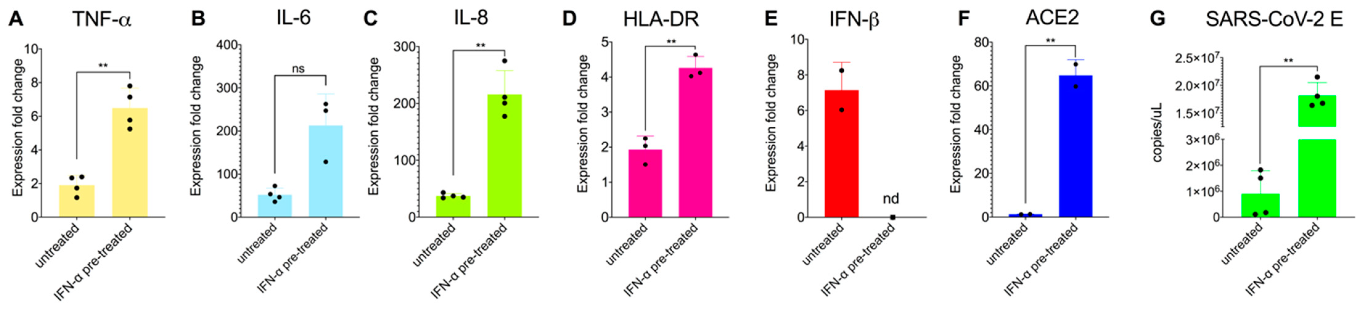 Viruses 14 00441 g002