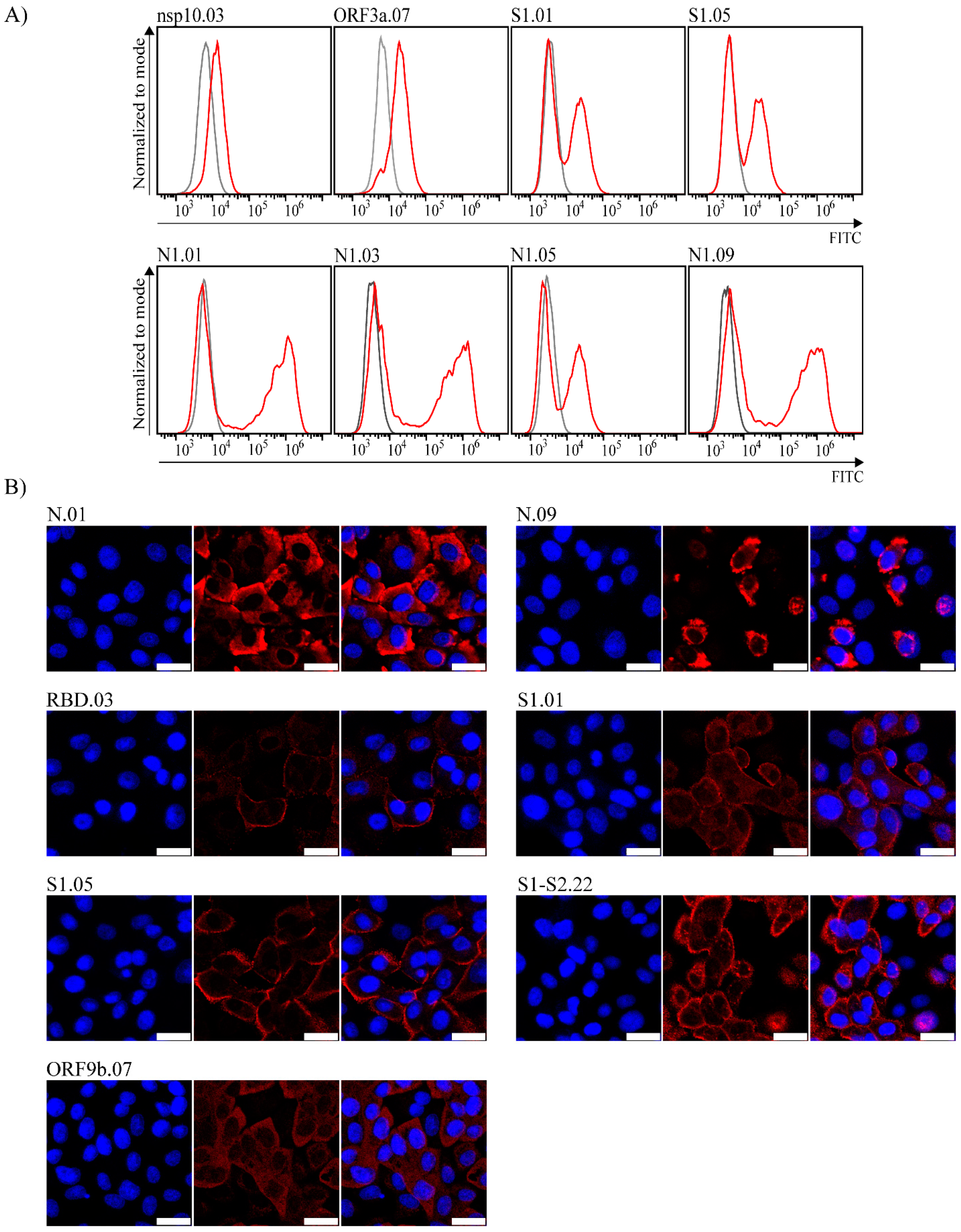 Viruses 14 00443 g003 550