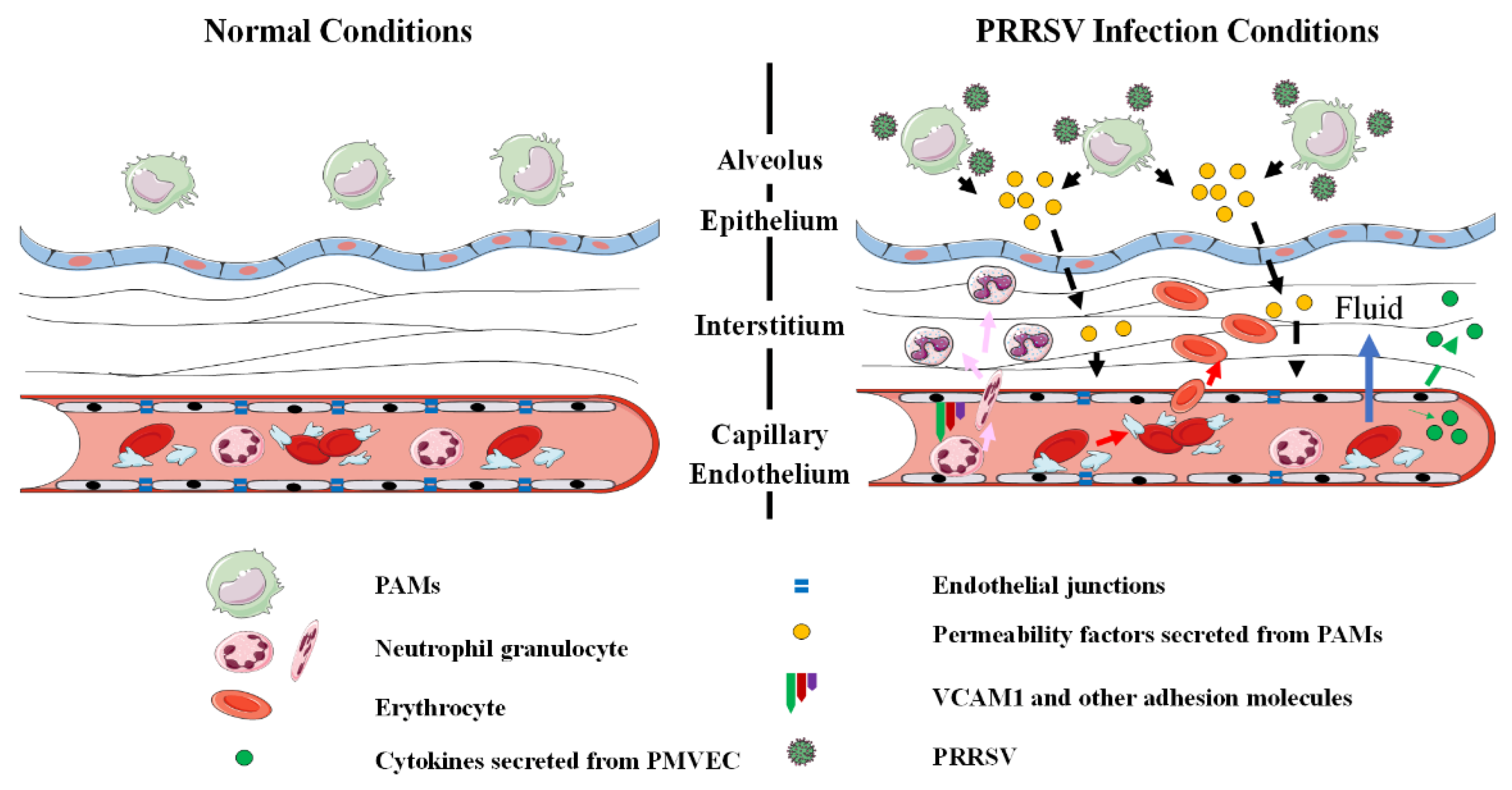 Viruses 14 00452 g008