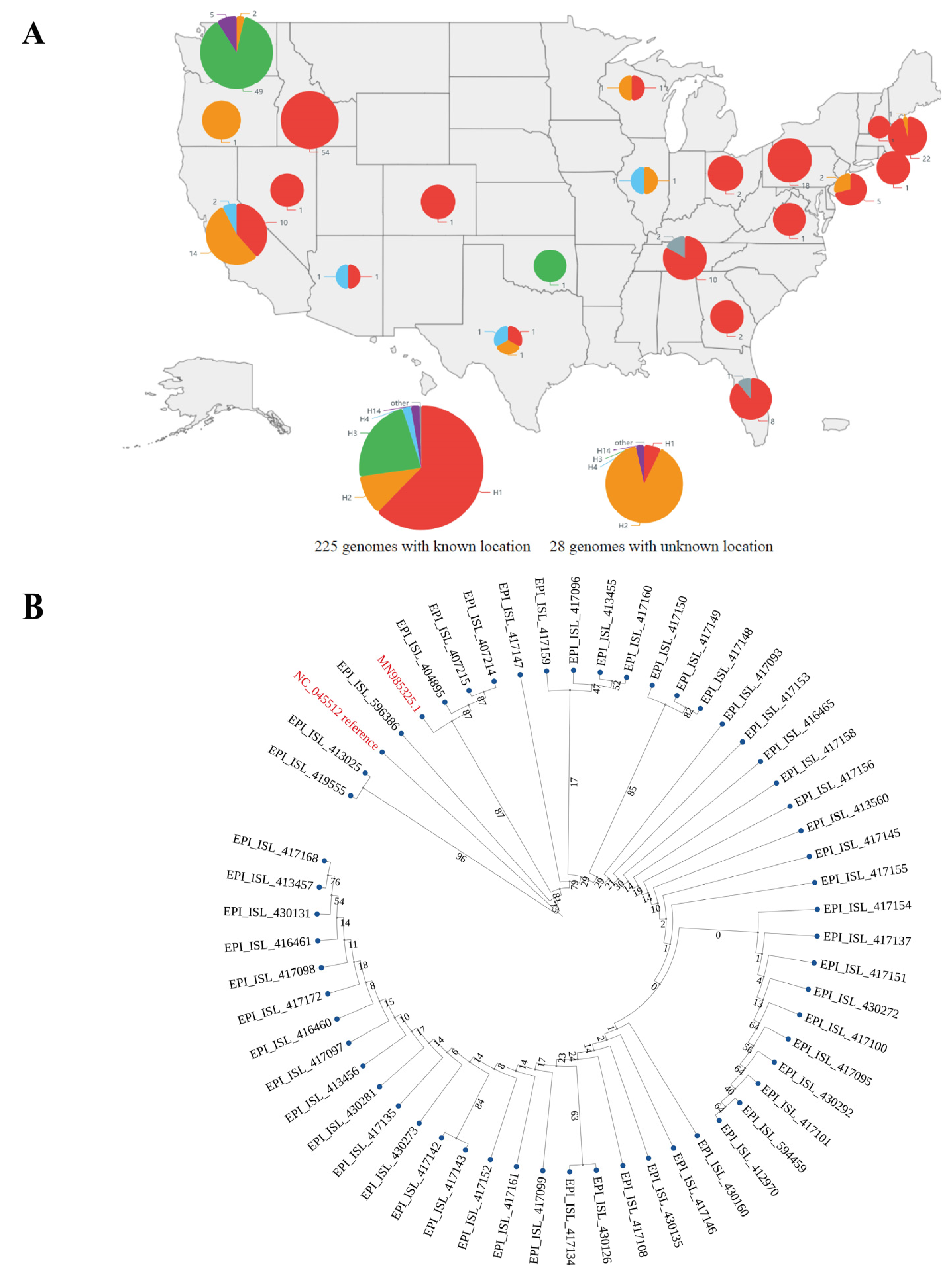 Viruses 14 00454 g005 550