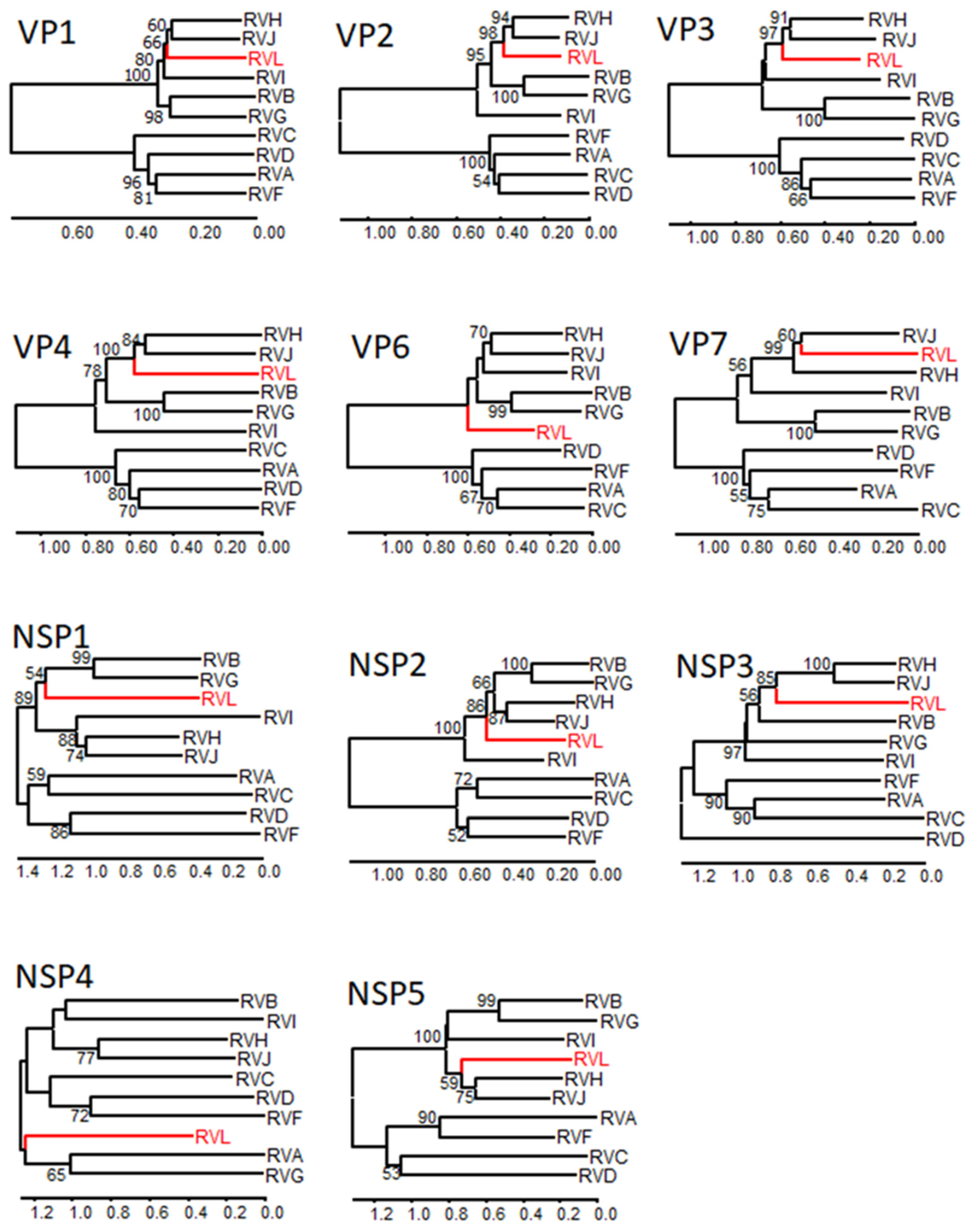 Viruses 14 00462 g001