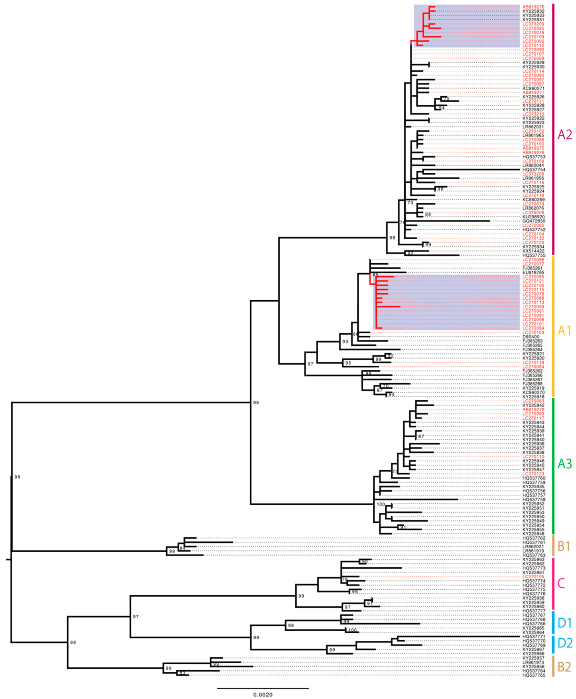 Viruses 14 00464 g003