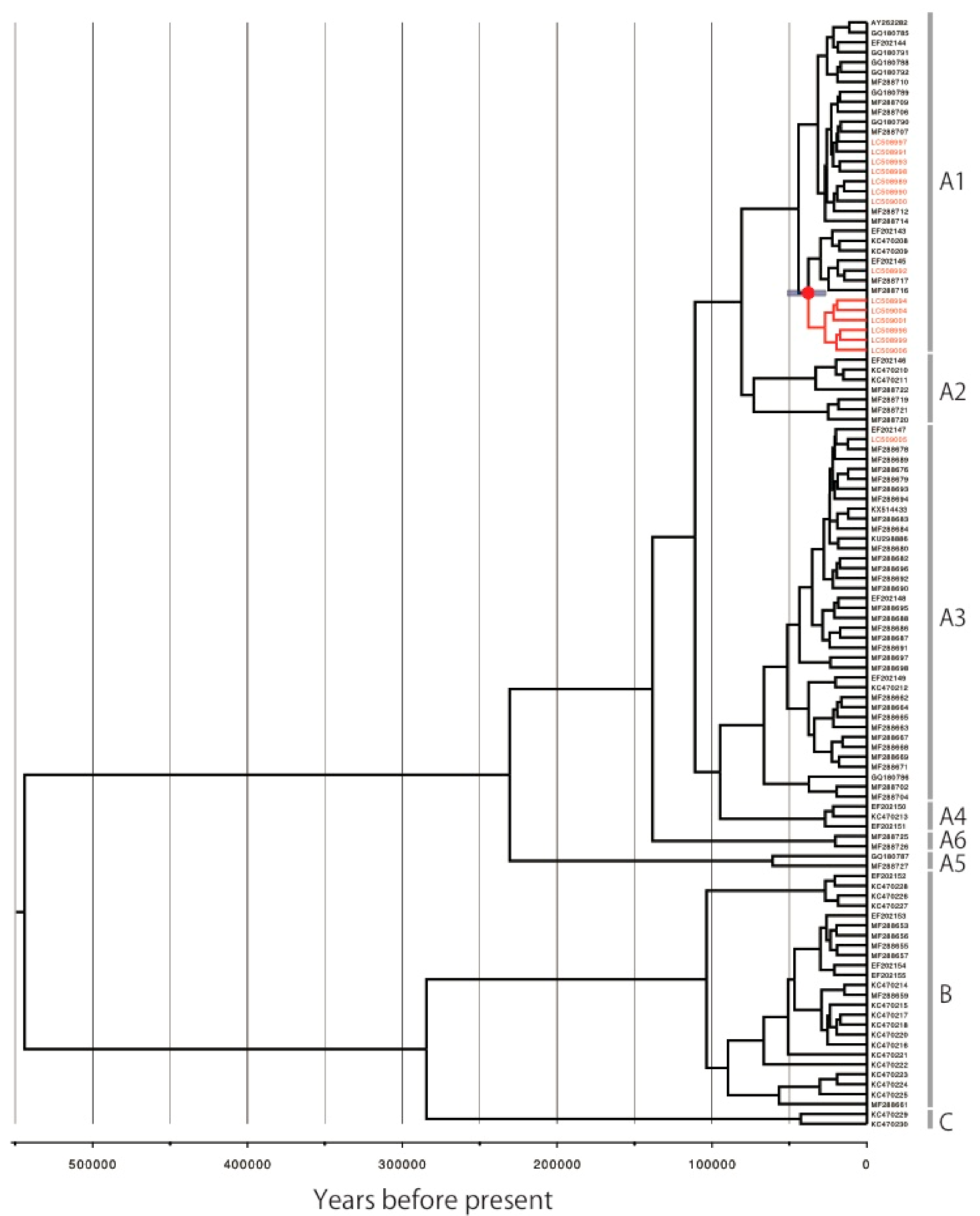 Viruses 14 00464 g005