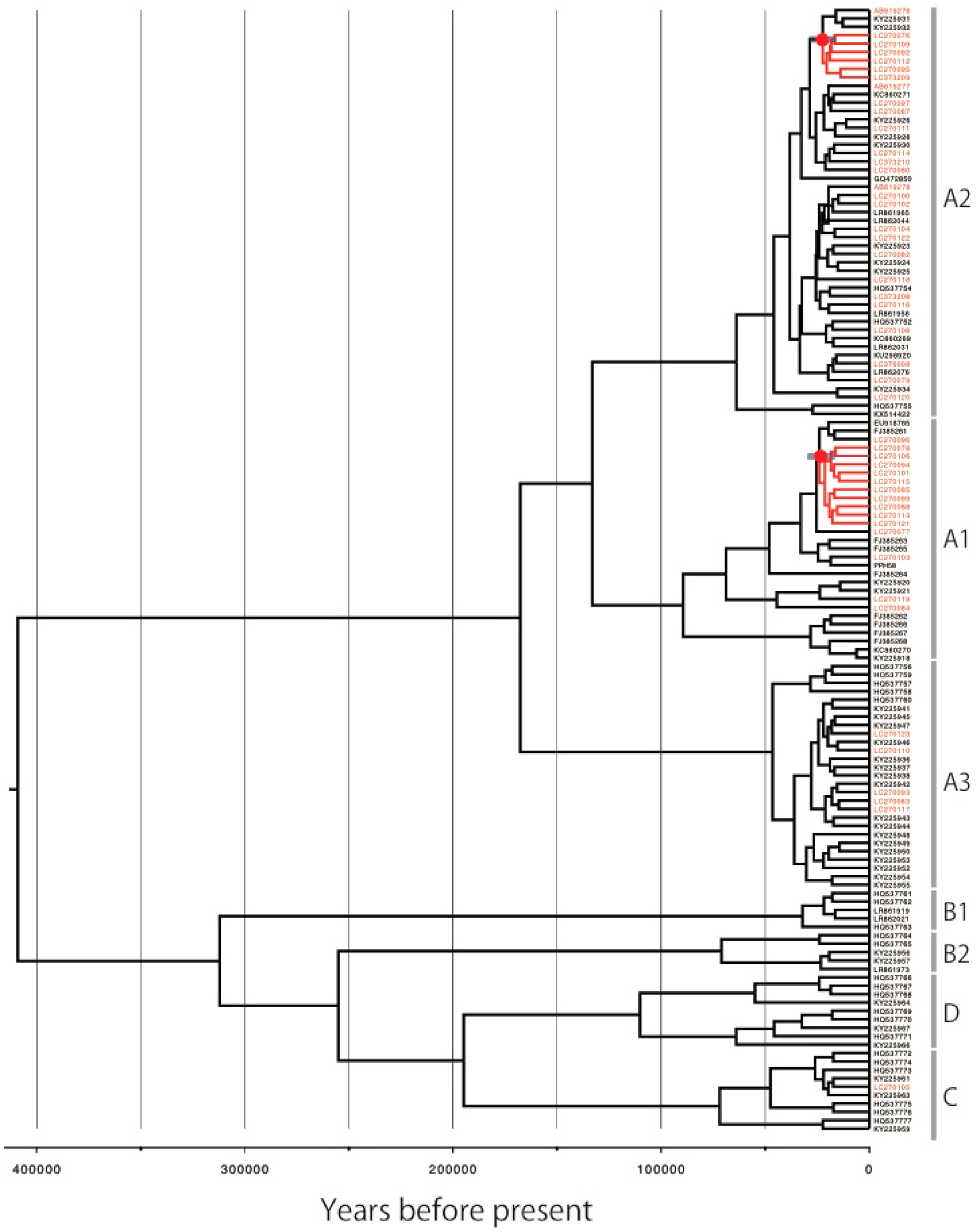 Viruses 14 00464 g006