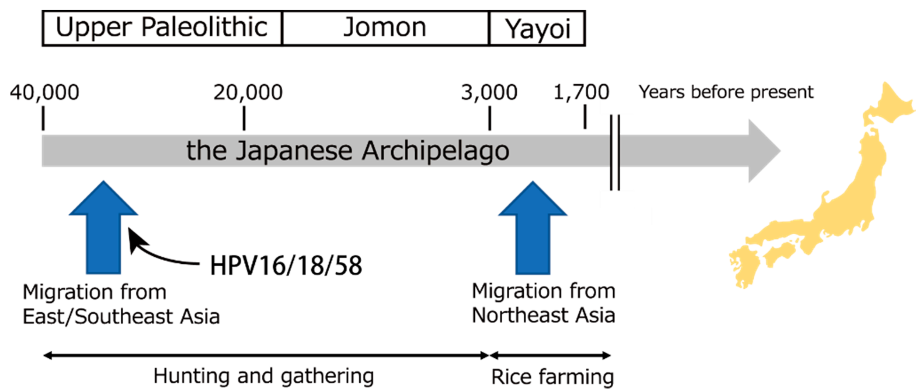 Viruses 14 00464 g007
