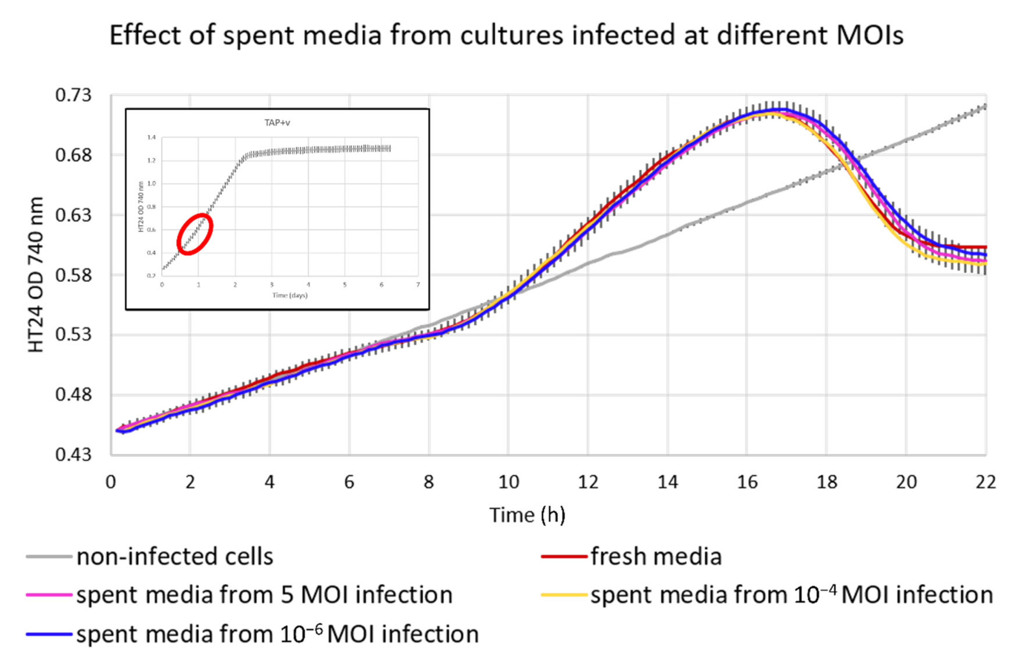 Viruses 14 00466 g006 550