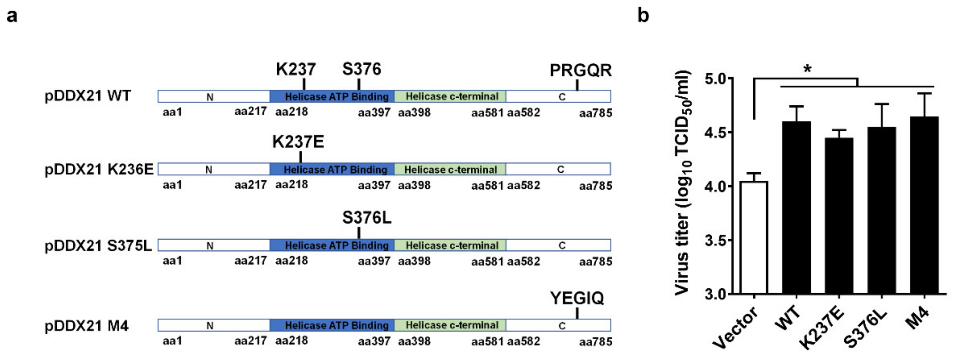 Viruses 14 00467 g002