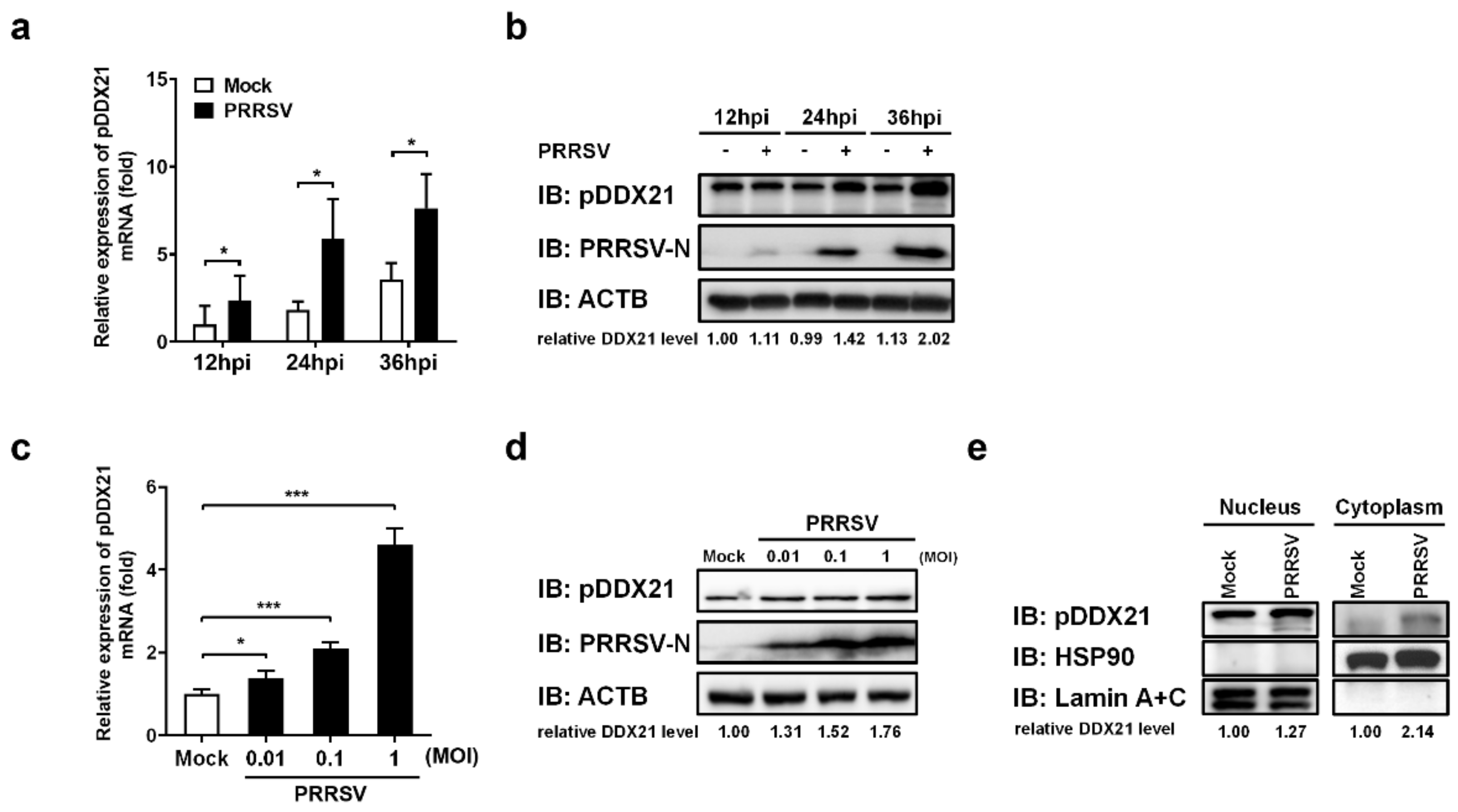 Viruses 14 00467 g003