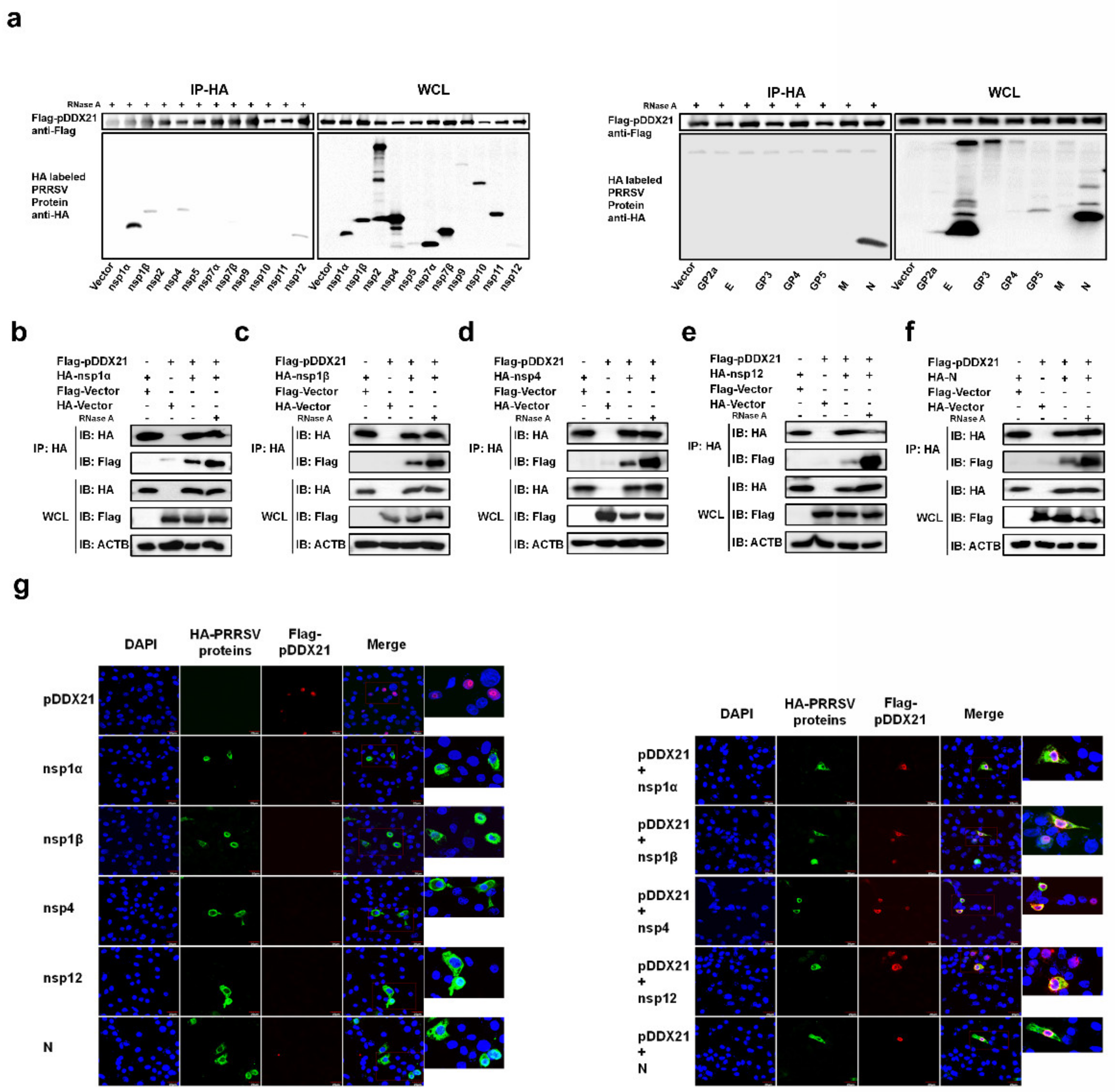 Viruses 14 00467 g004