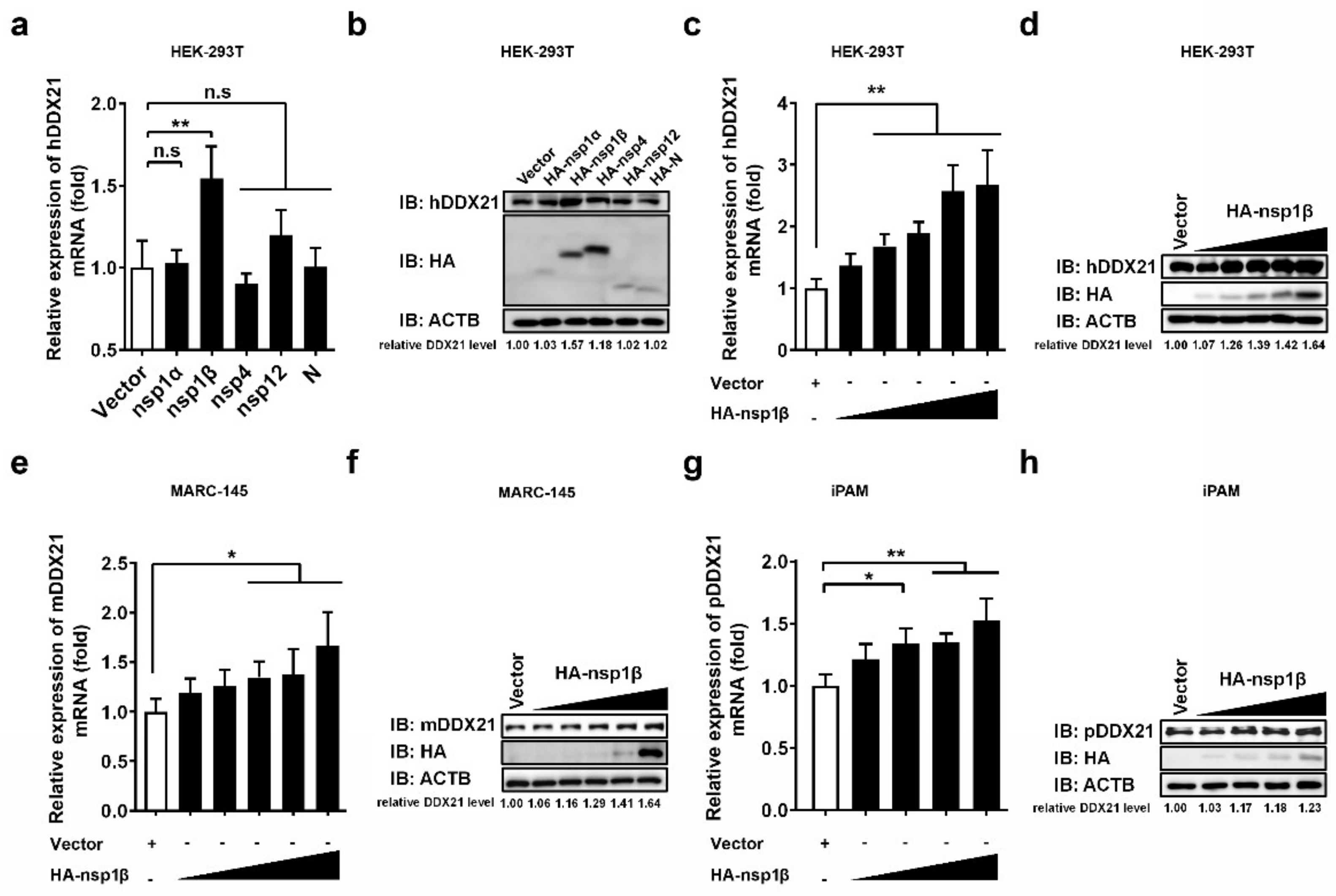 Viruses 14 00467 g005