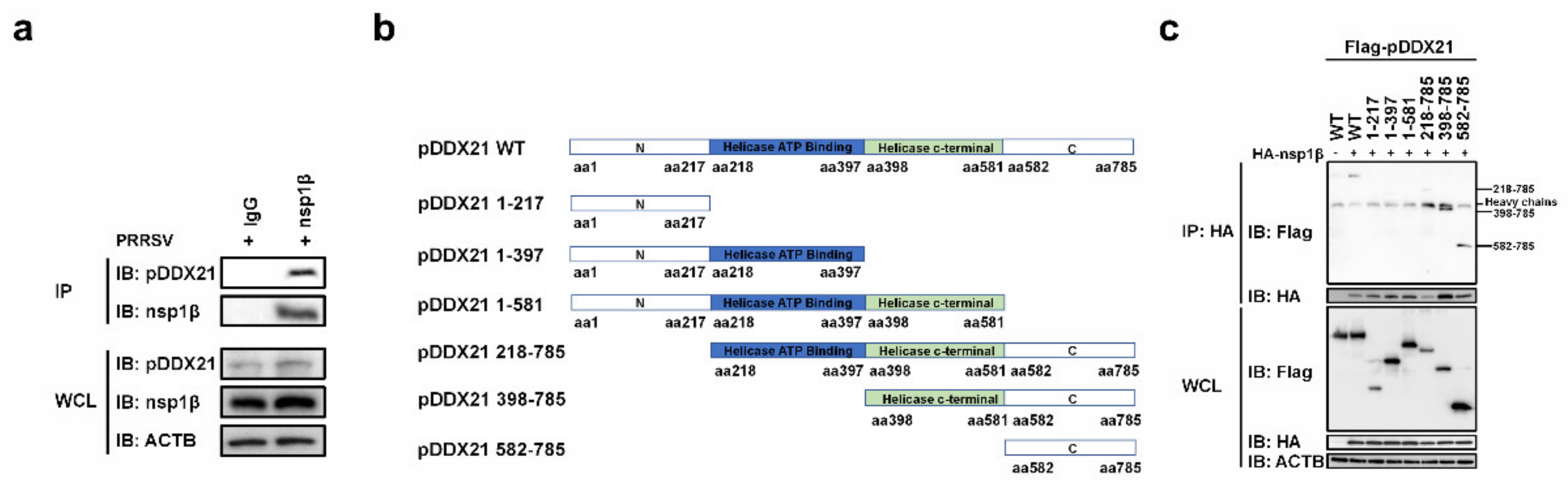 Viruses 14 00467 g006