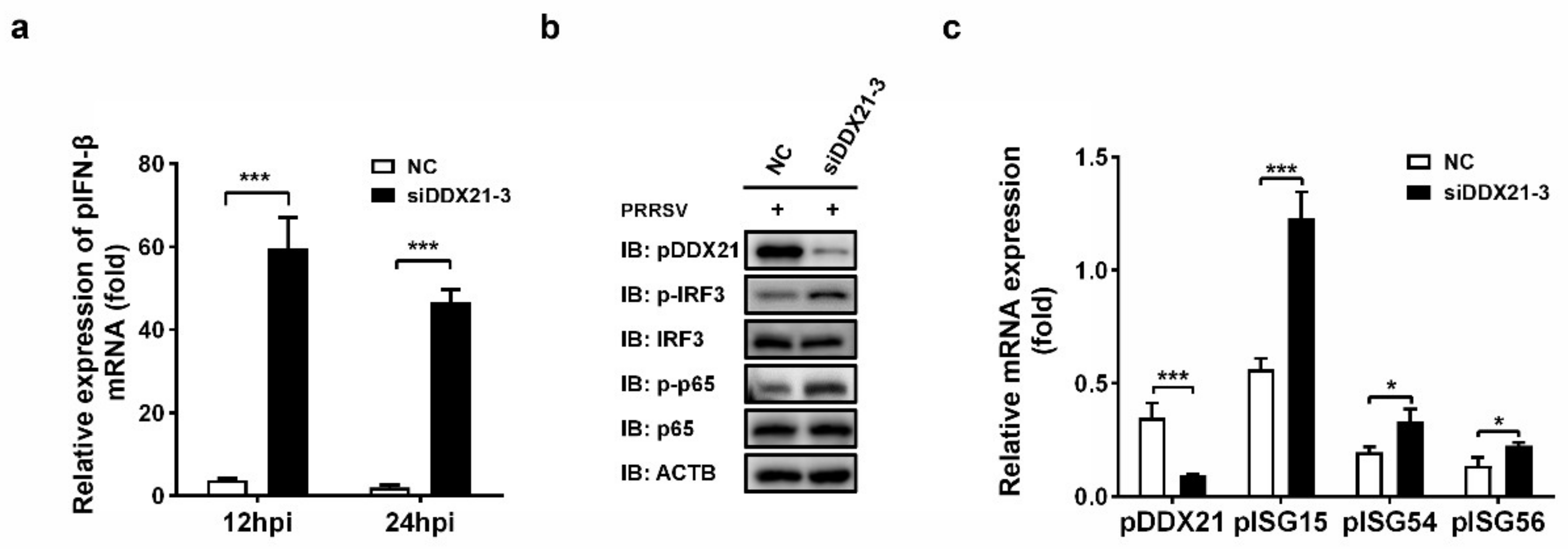 Viruses 14 00467 g008