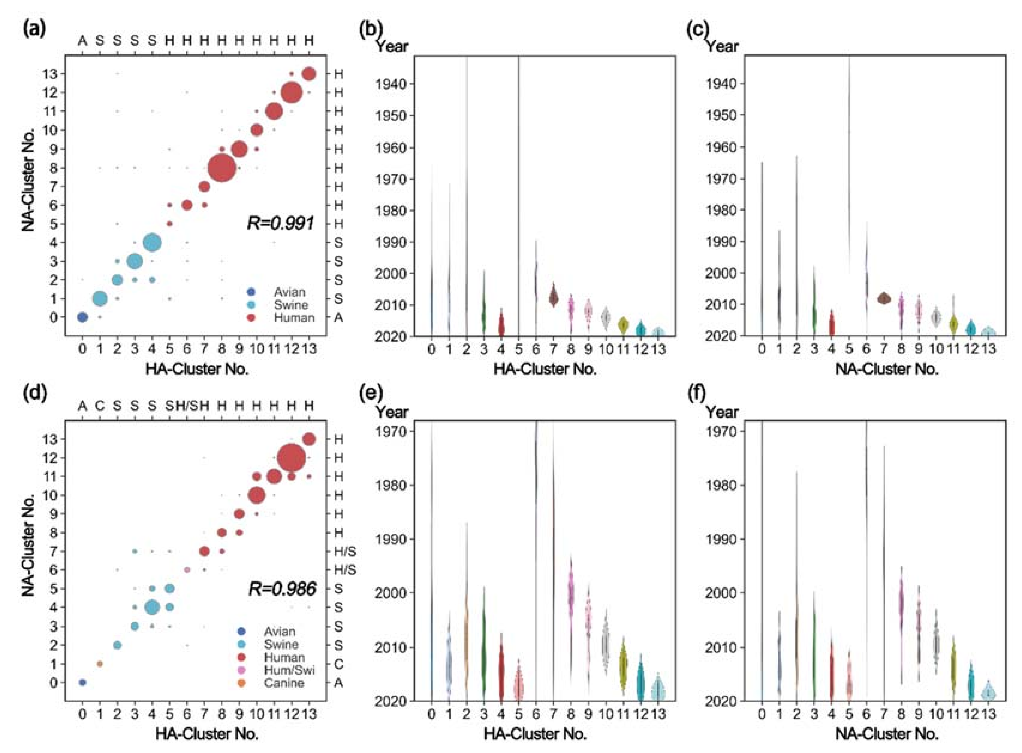 Viruses 14 00469 g004 Viruses 14 00469 g004