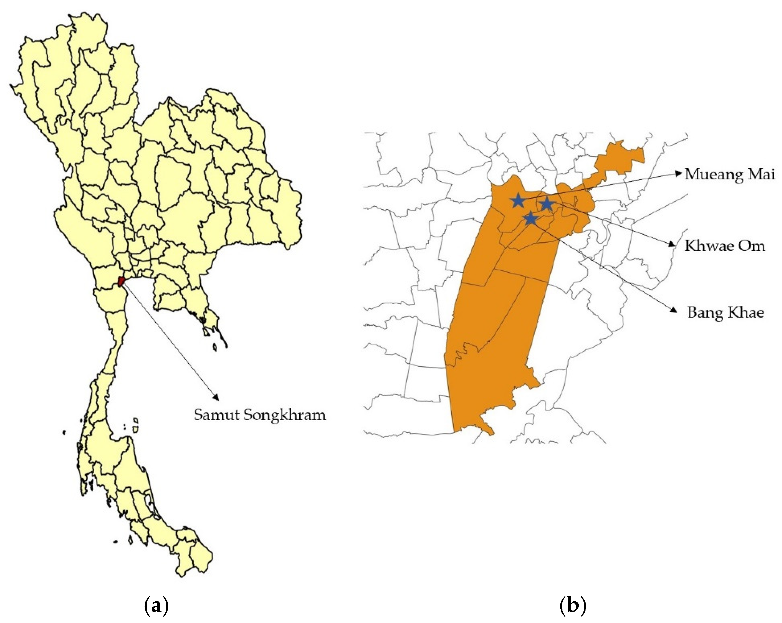 Viruses 14 00476 g001