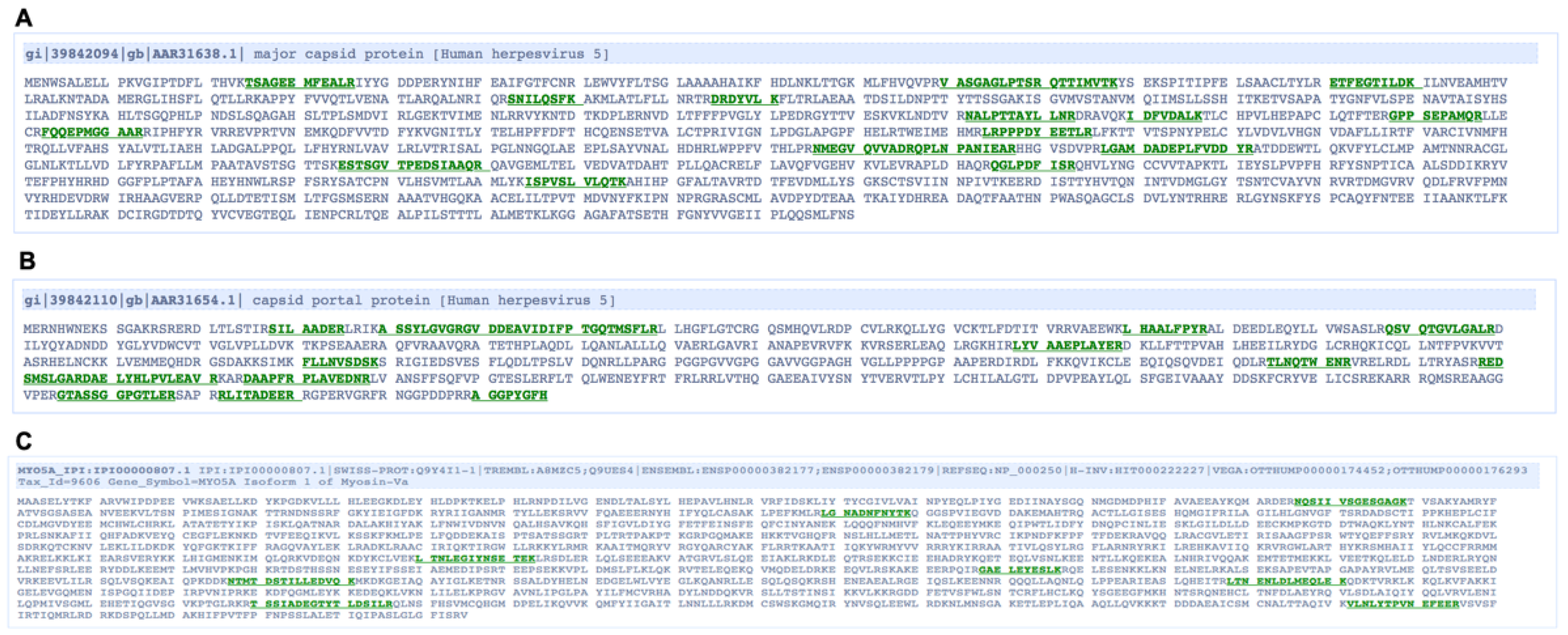 Viruses 14 00479 g001 550