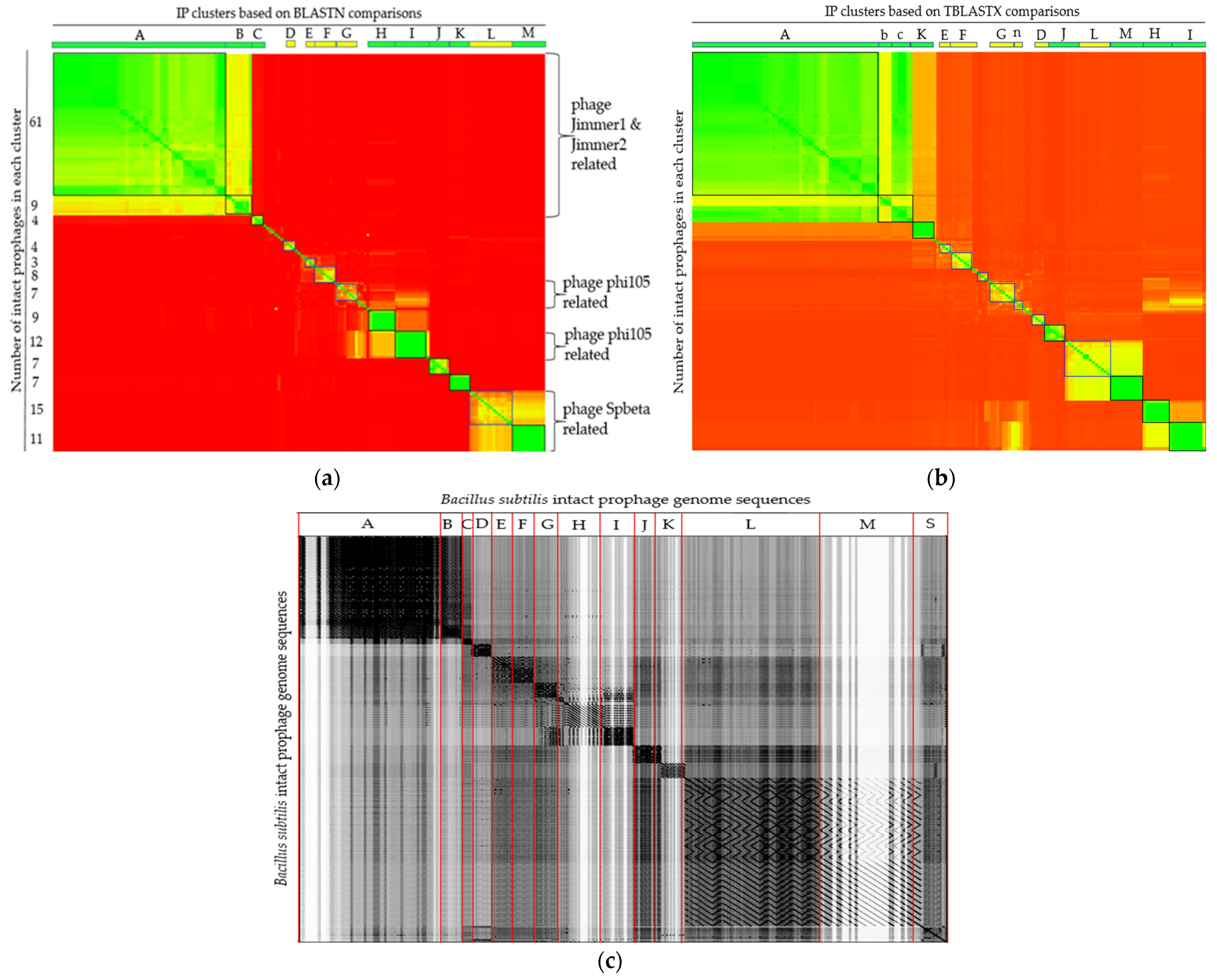 Viruses 14 00483 g004