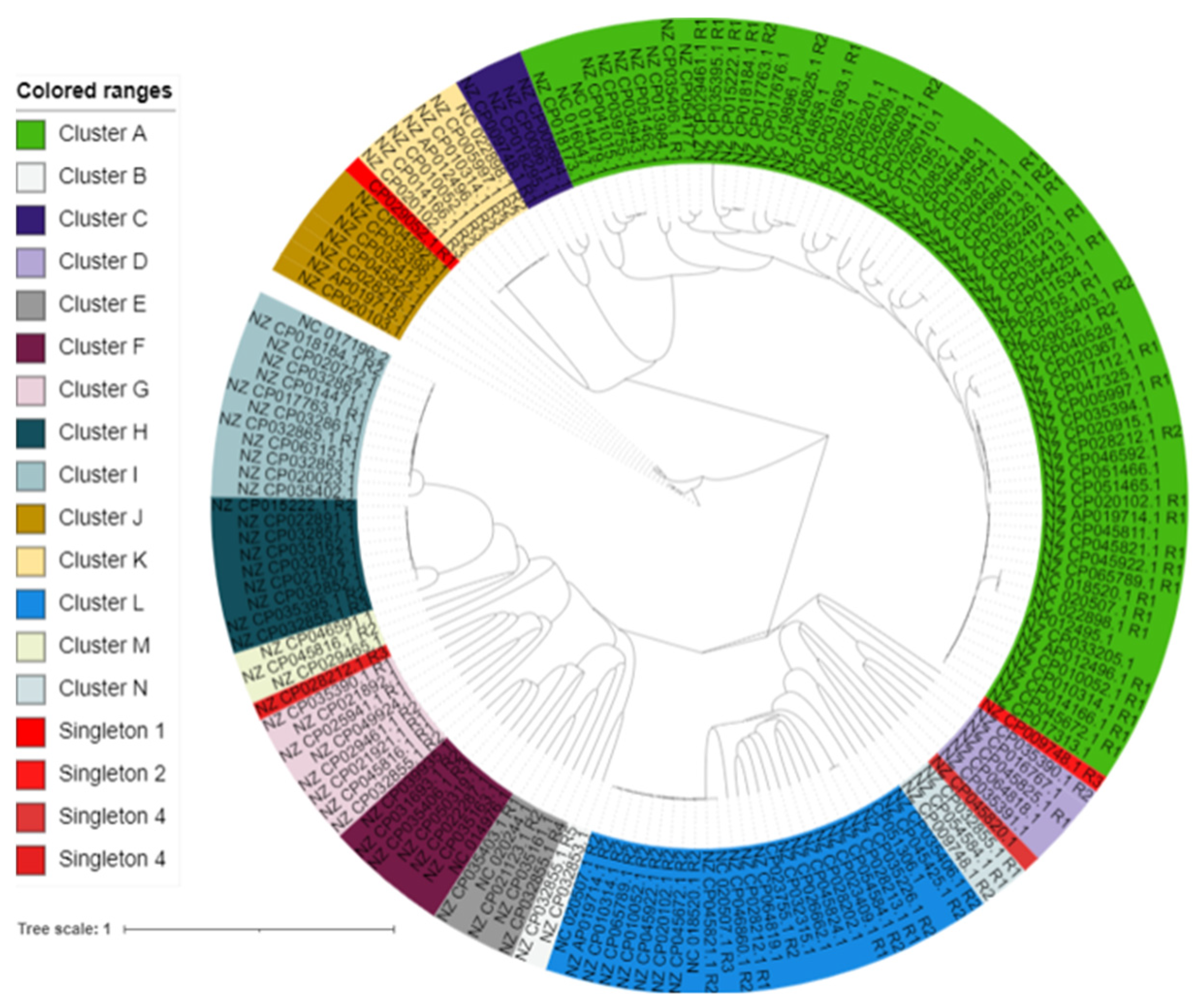 Viruses 14 00483 g005