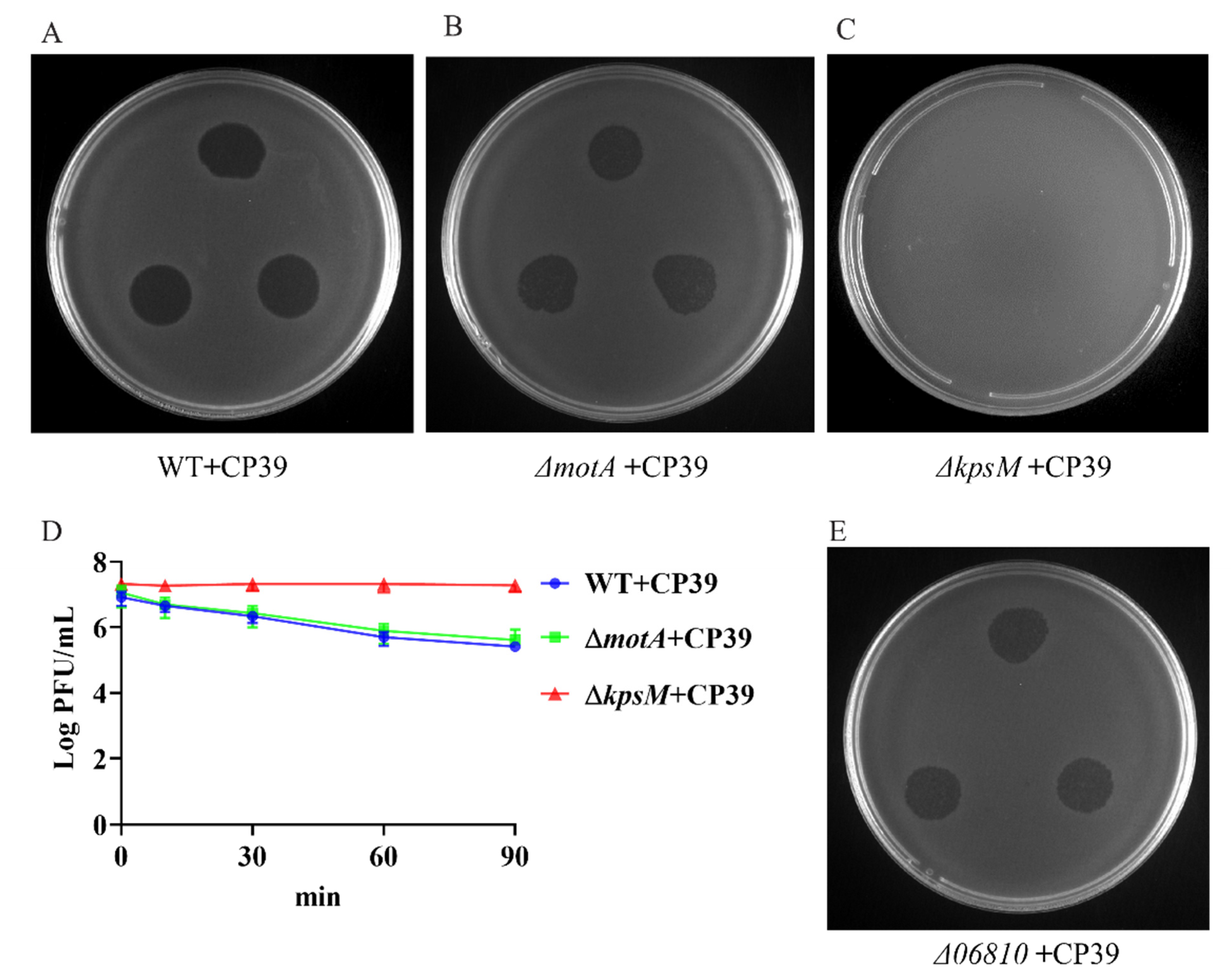 Viruses 14 00485 g002 550
