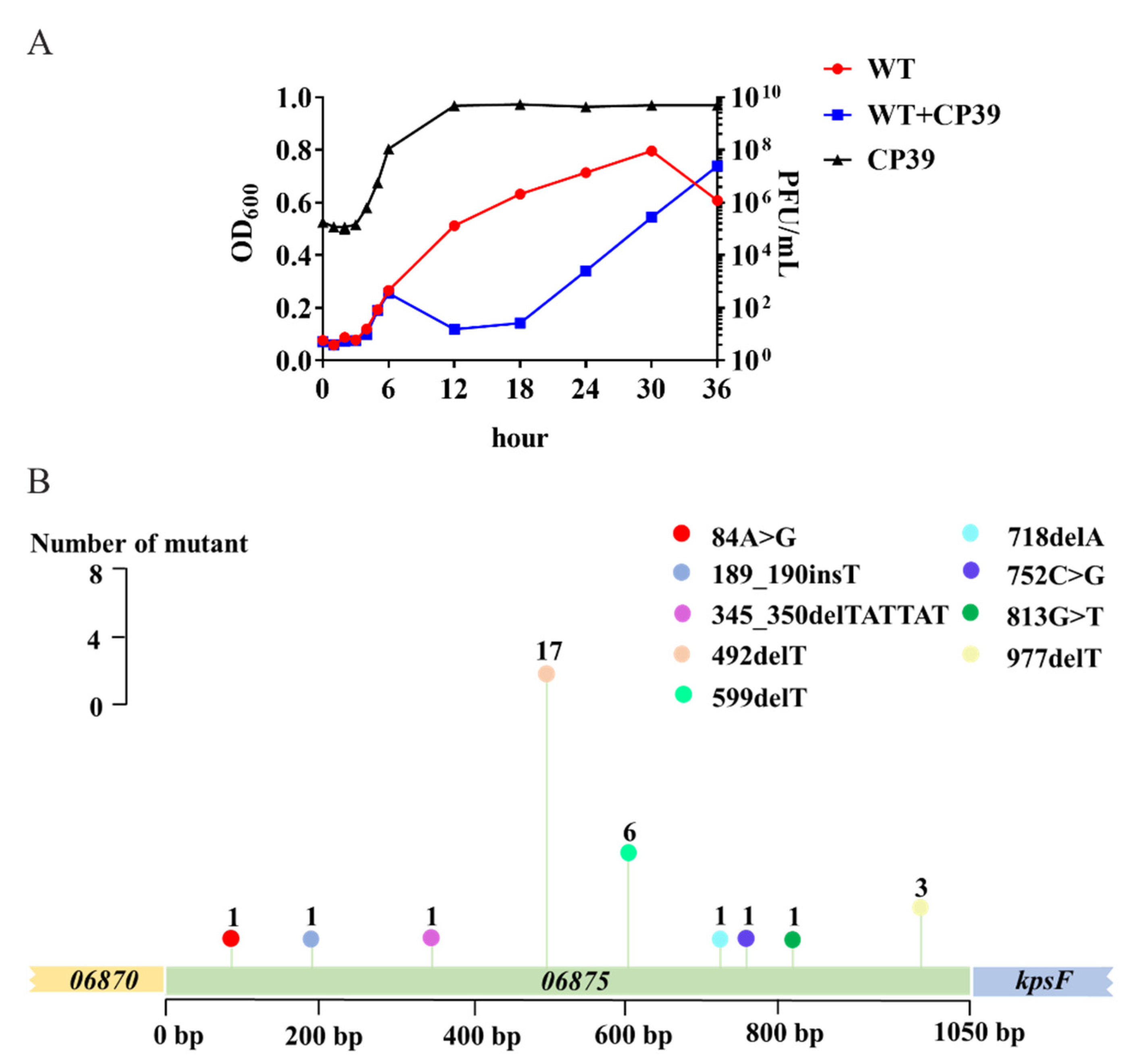 Viruses 14 00485 g004 550