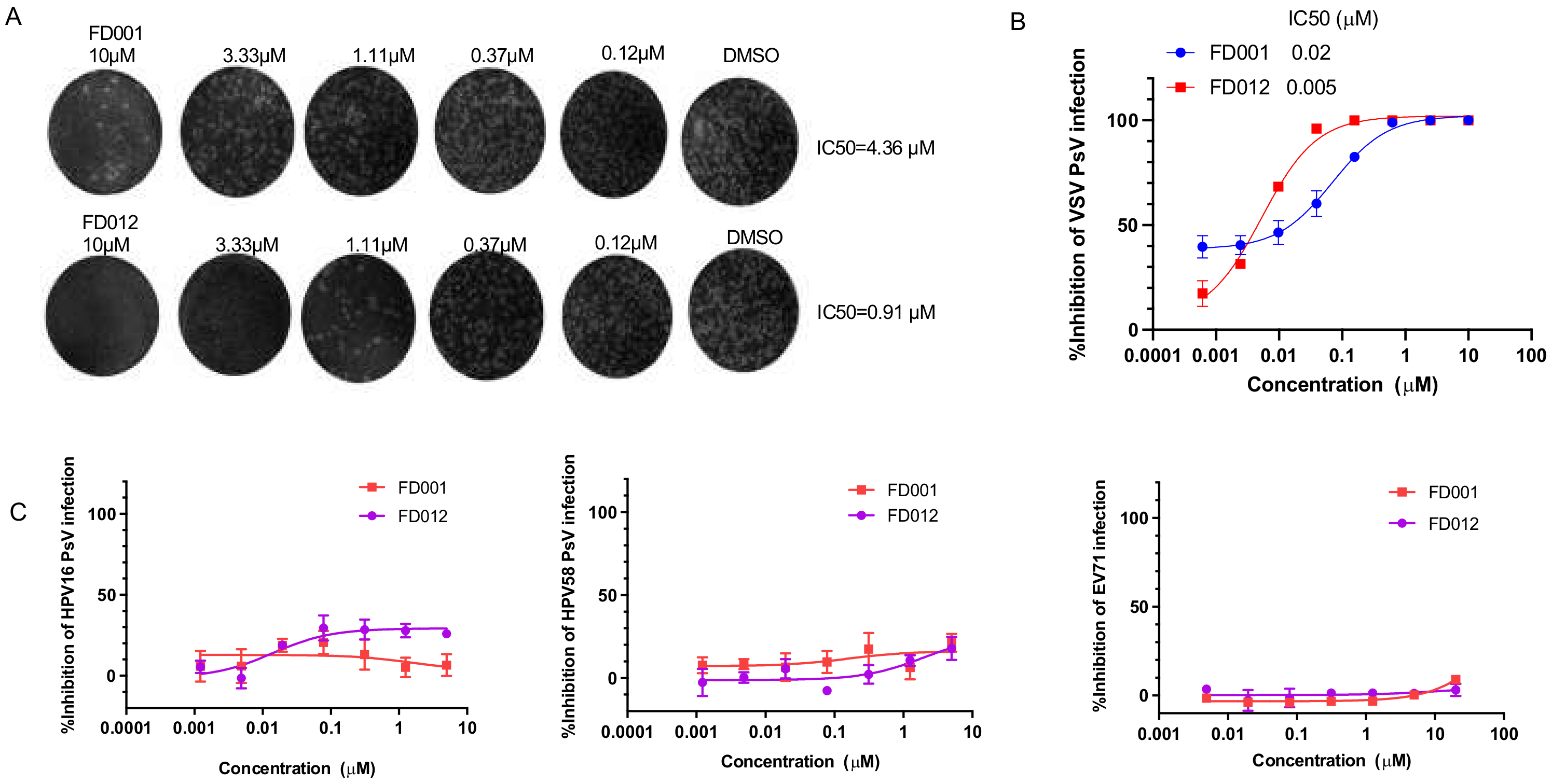 Viruses 14 00489 g003 550