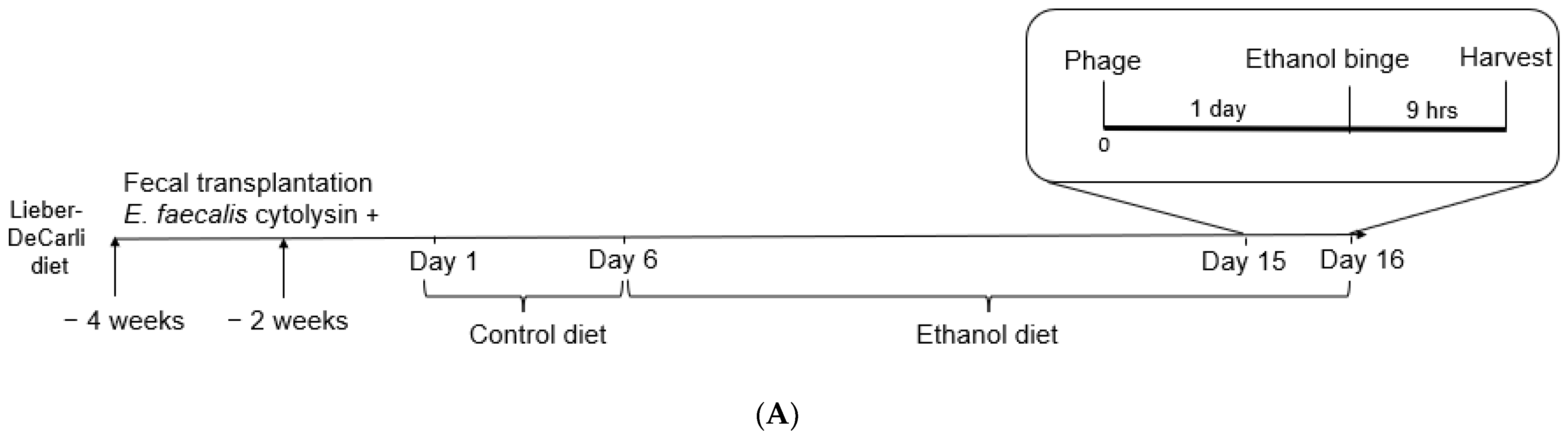 Viruses 14 00490 g001a