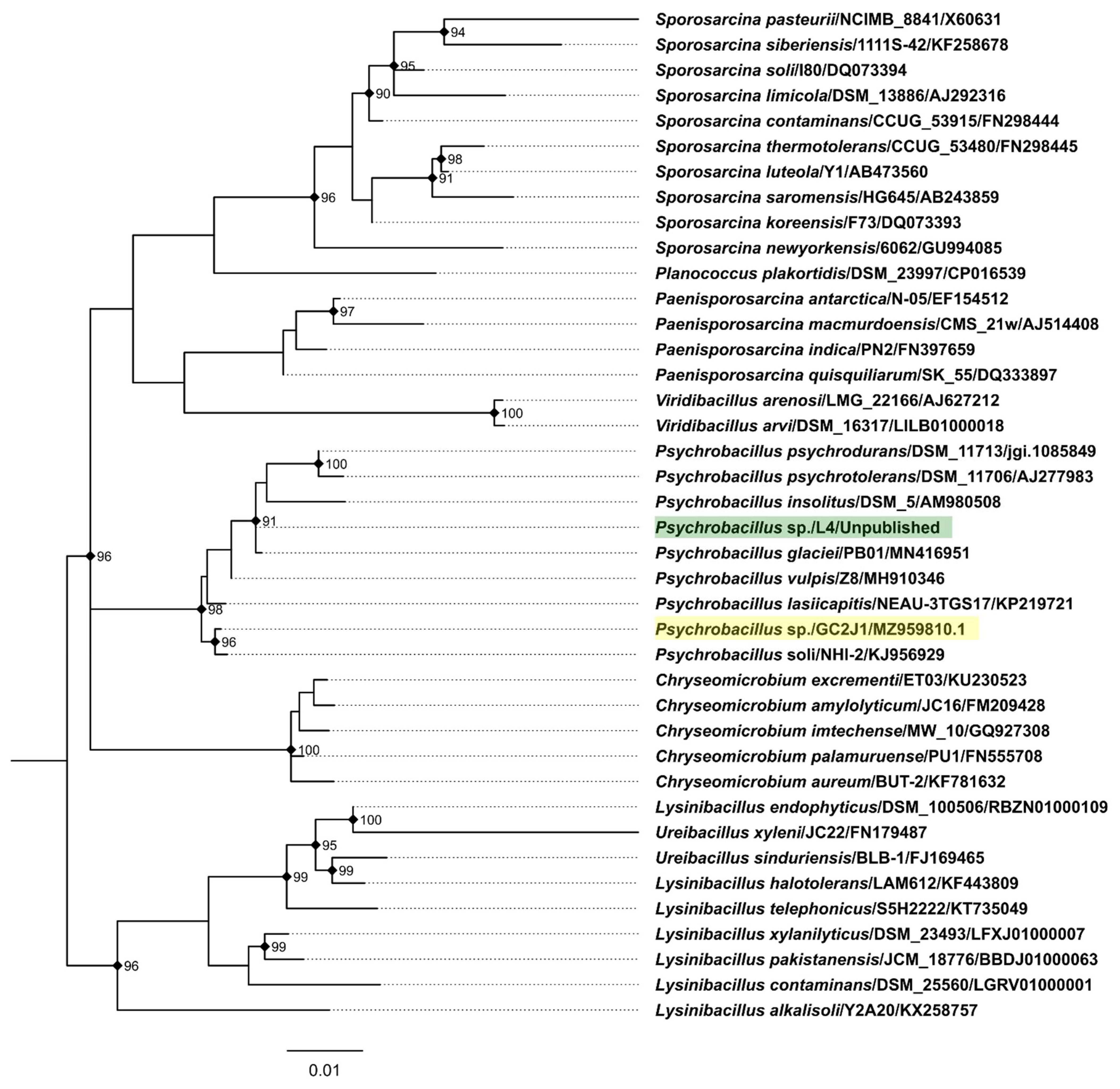 Viruses 14 00495 g001