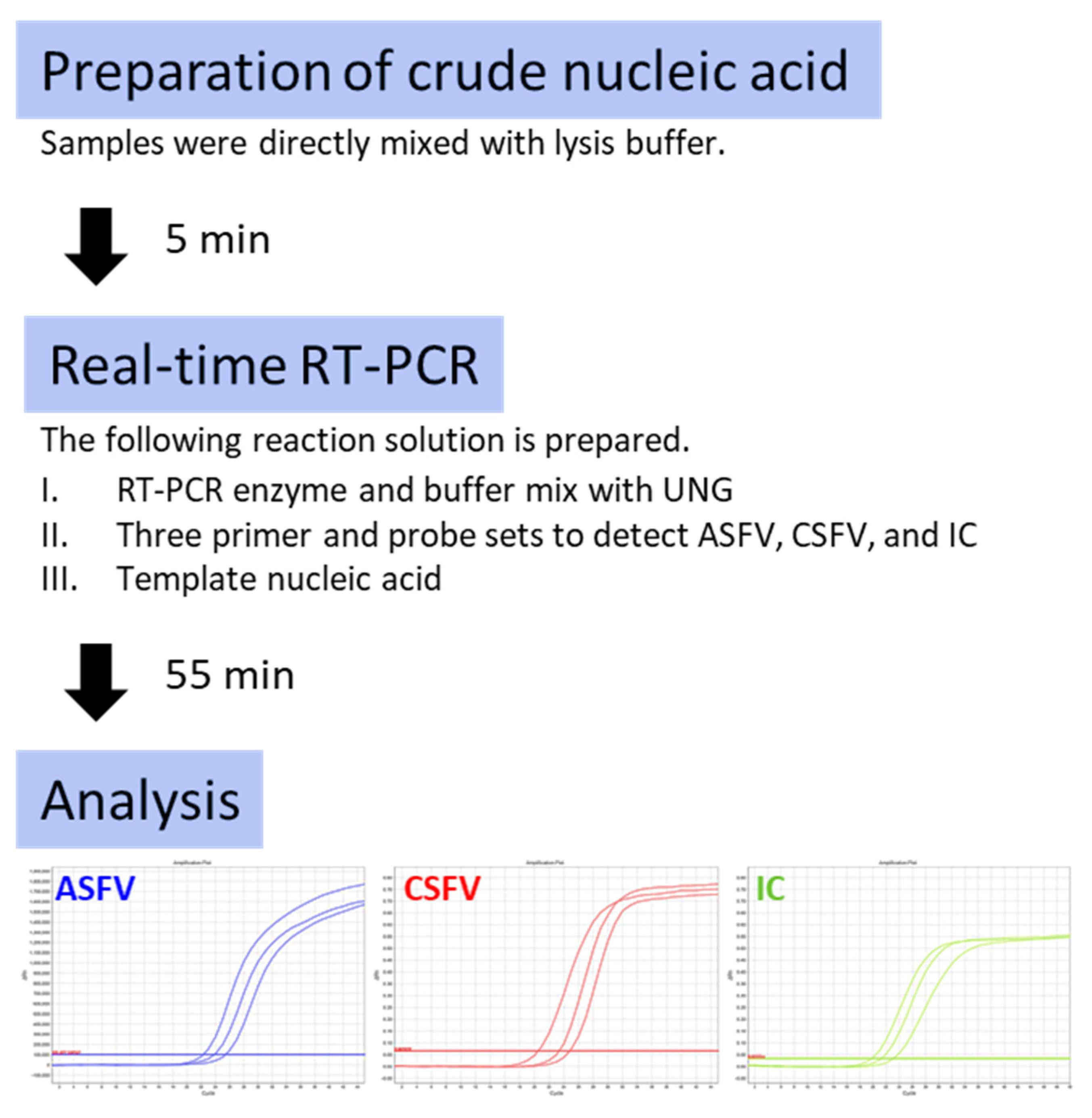 Viruses 14 00498 g003 550