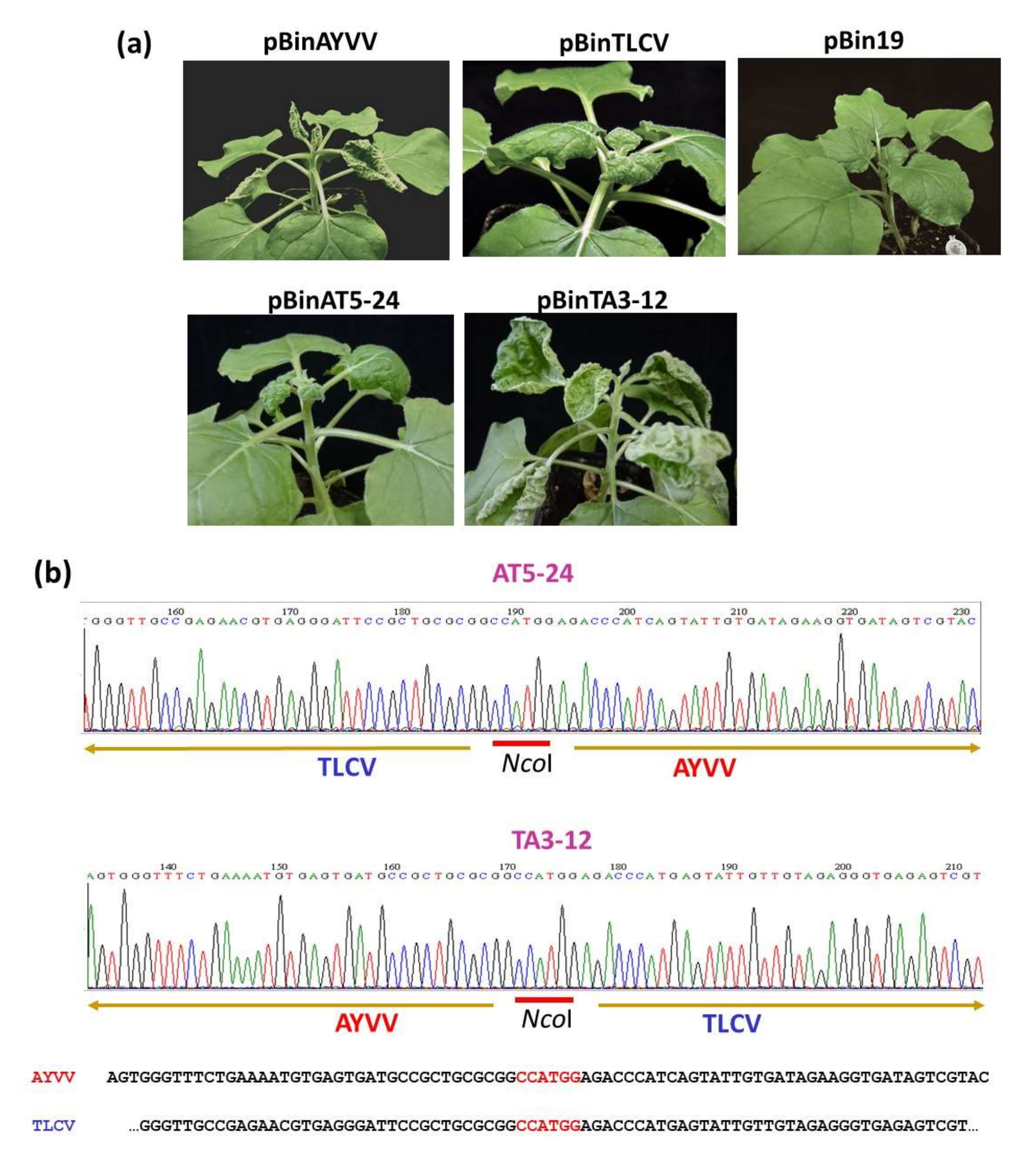 Viruses 14 00499 g003